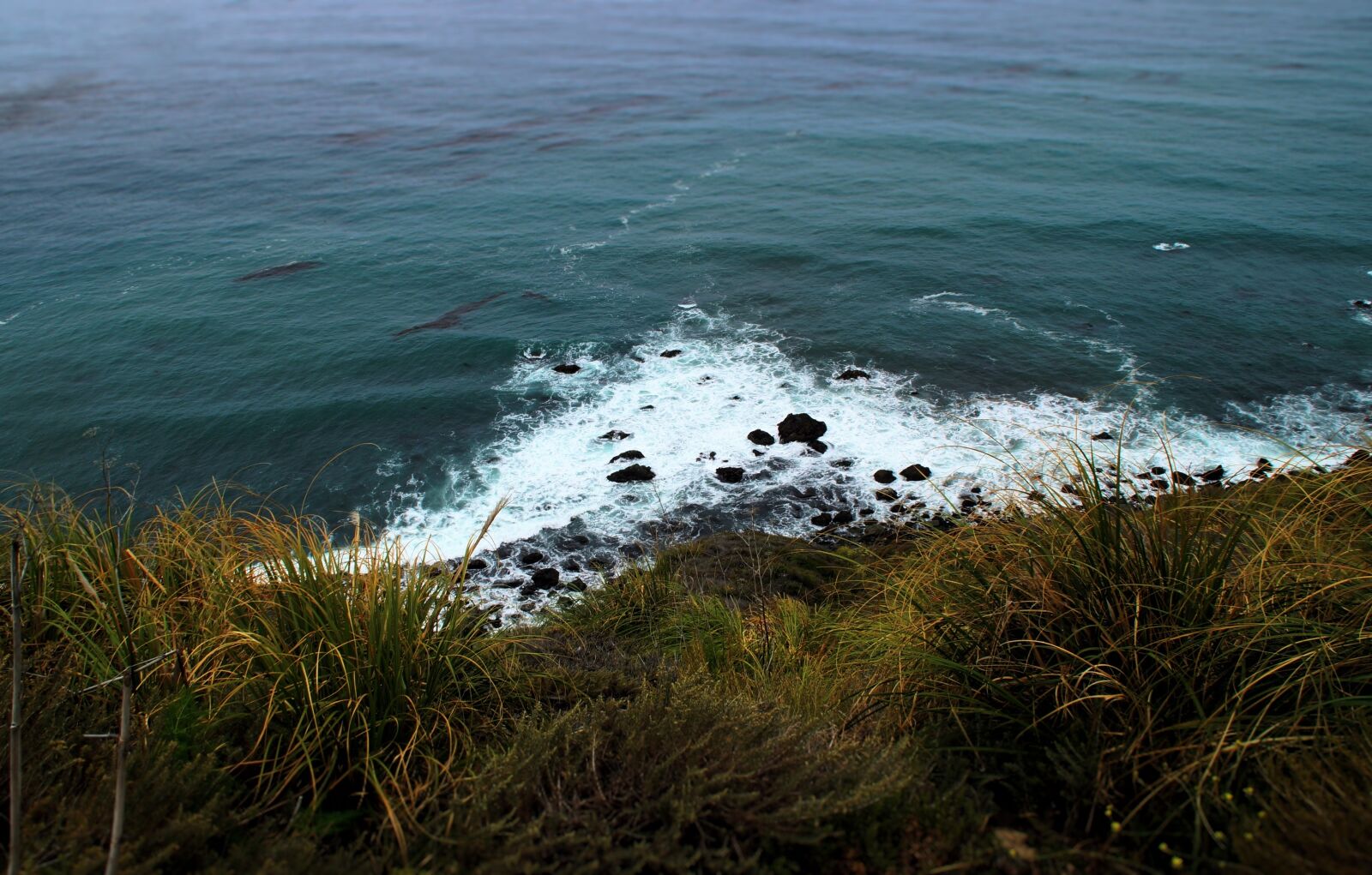 Sony DT 18-200mm F3.5-6.3 sample photo. Beach, coast, nature photography
