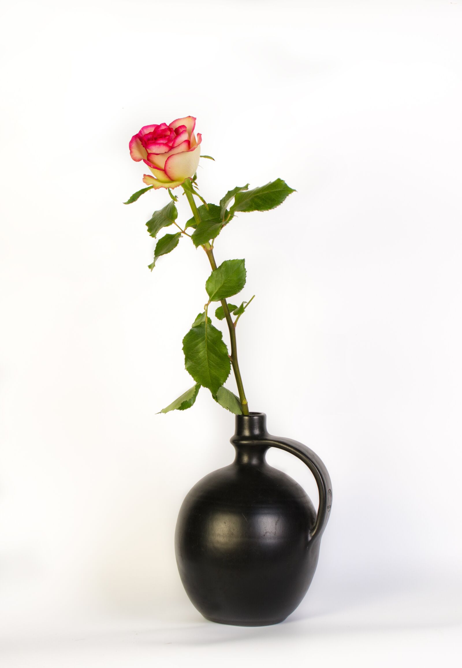 Nikon D7000 sample photo. Rosa, vase, flower photography