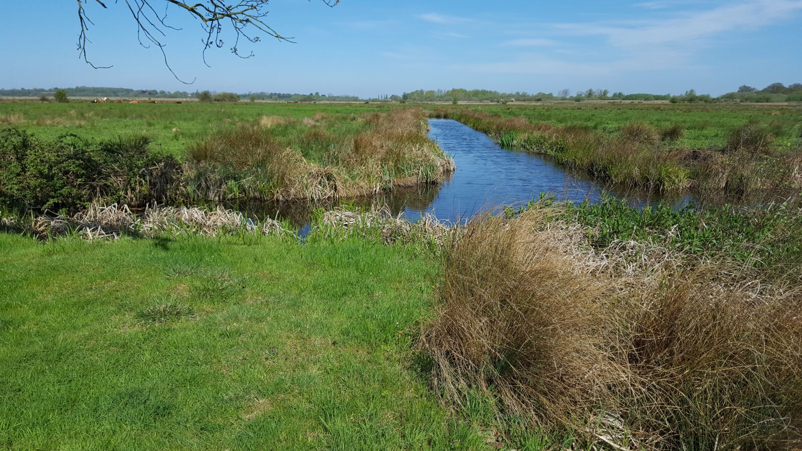 Samsung Galaxy S6 sample photo. Carlton marshes, lowestoft, norfolk photography