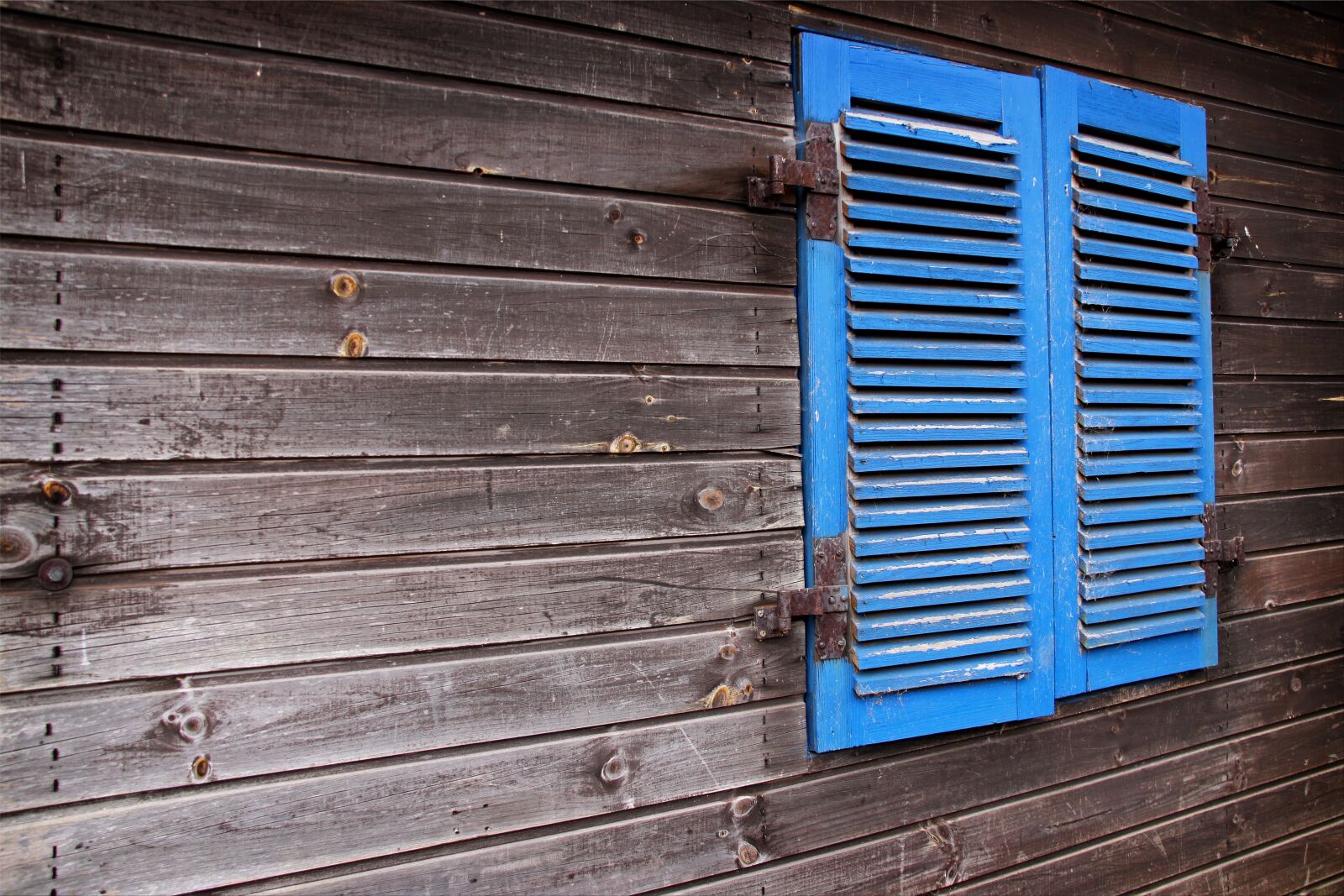 Canon EOS 500D (EOS Rebel T1i / EOS Kiss X3) sample photo. Shutter, woodhouse, still life photography