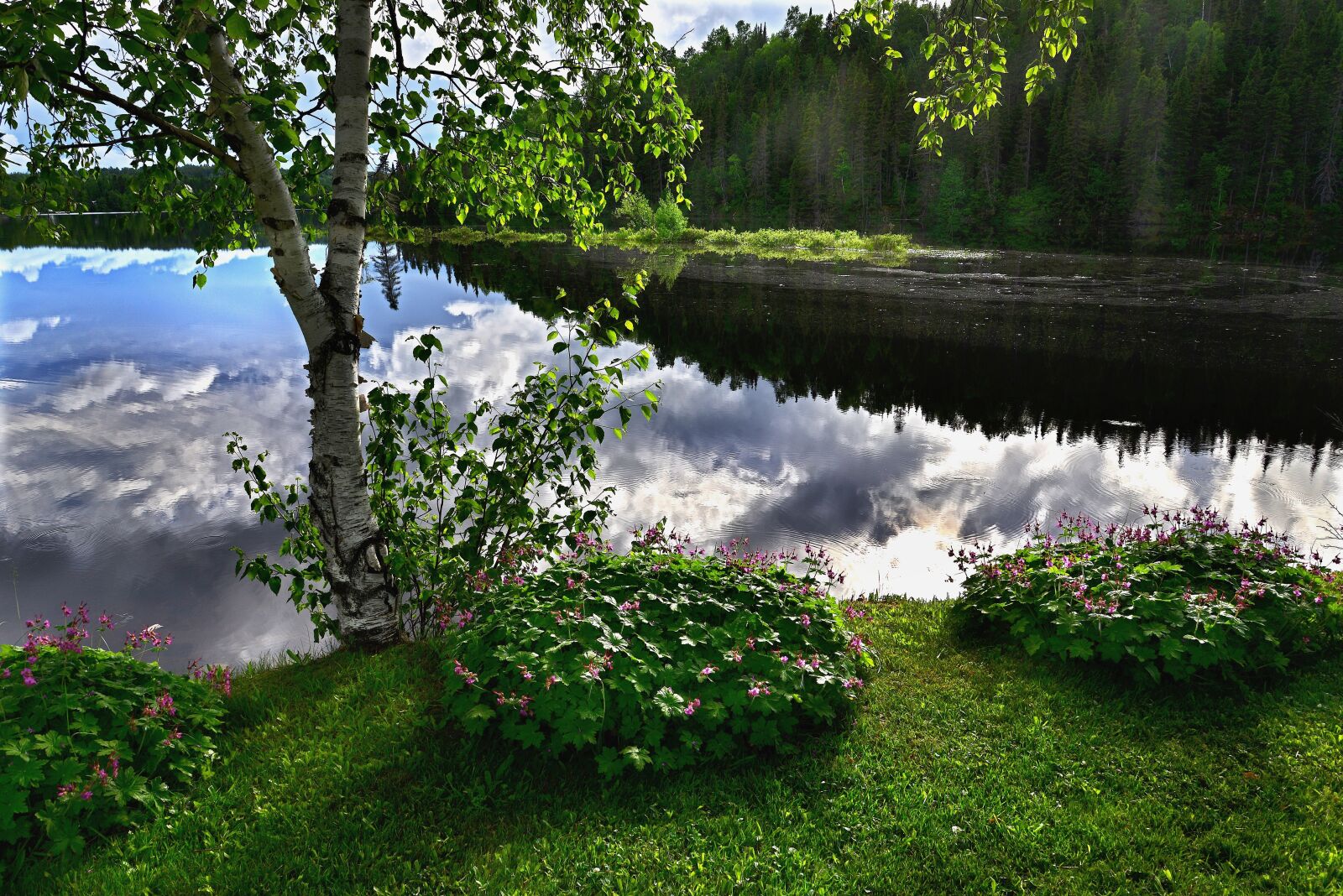 Nikon D610 sample photo. Landscape, nature, lake photography
