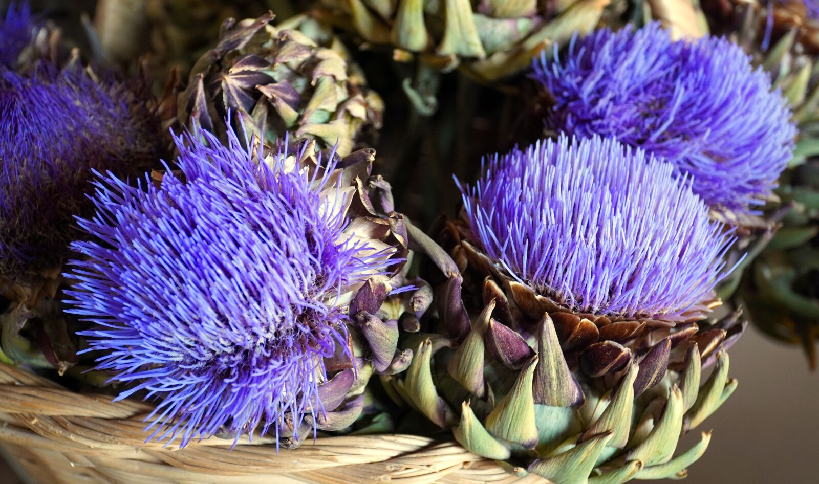 Sony a6400 + Sony E PZ 18-105mm F4 G OSS sample photo. Artichokes, flowers, vegetables photography
