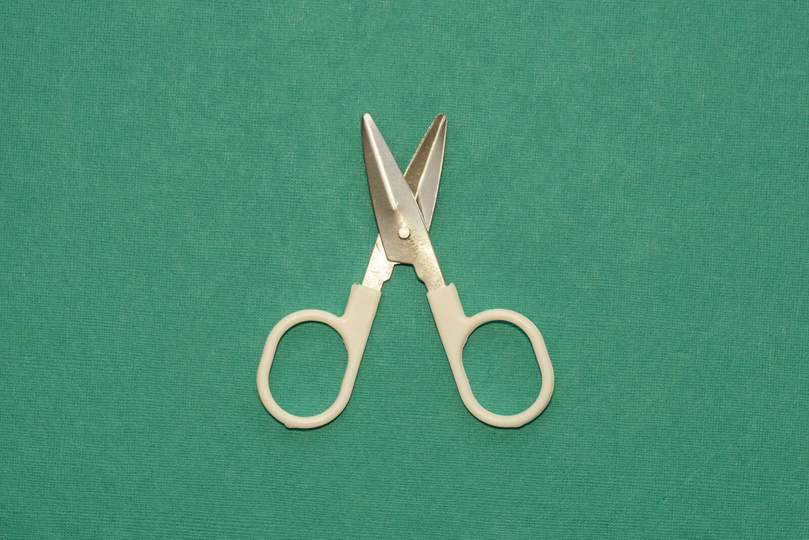 Nikon D5300 sample photo. Green, scissors, tool photography