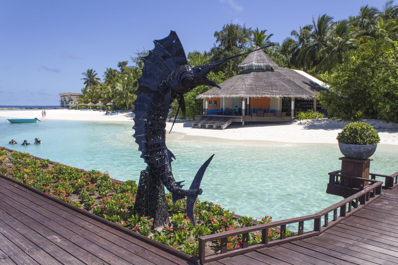 Canon EOS 600D (Rebel EOS T3i / EOS Kiss X5) sample photo. The maldives, island, swordfish photography