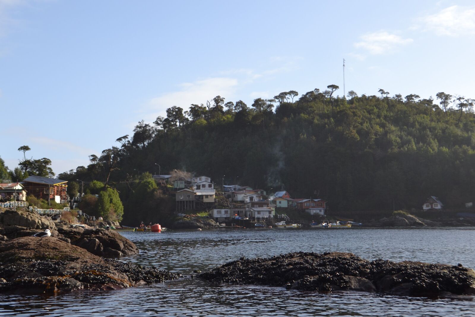Nikon D3100 sample photo. Coastal, sea, costa photography