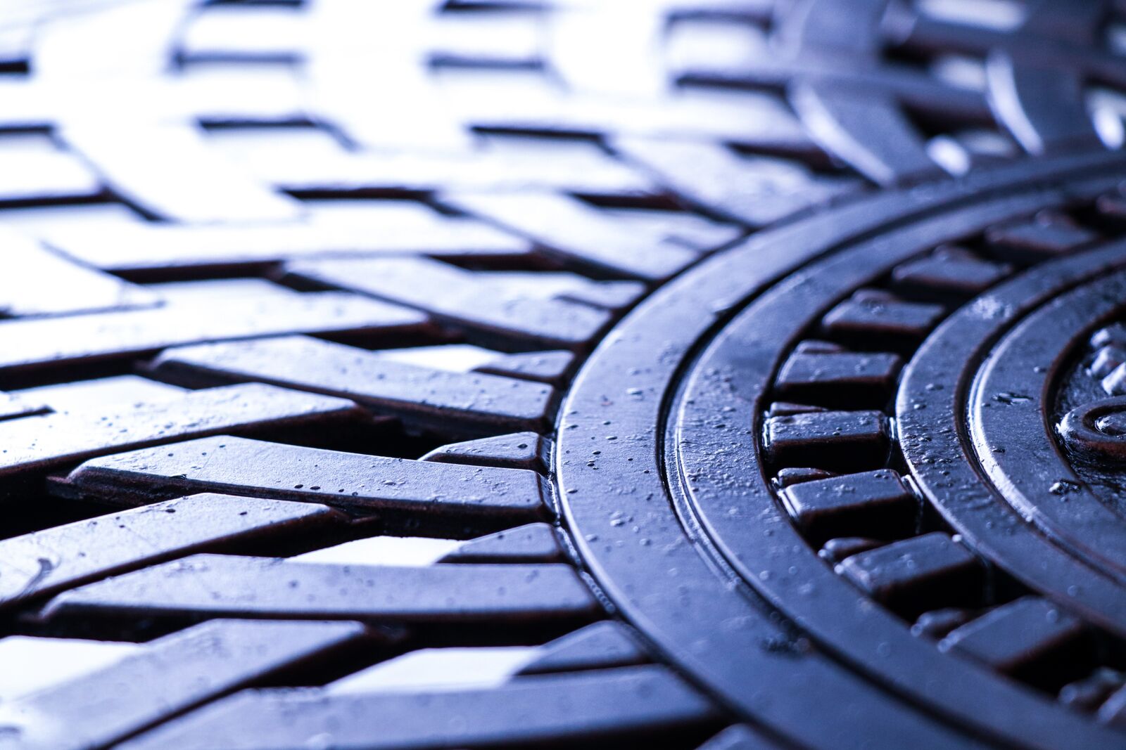 Canon EOS 77D (EOS 9000D / EOS 770D) sample photo. Metal, crafts, wrought iron photography