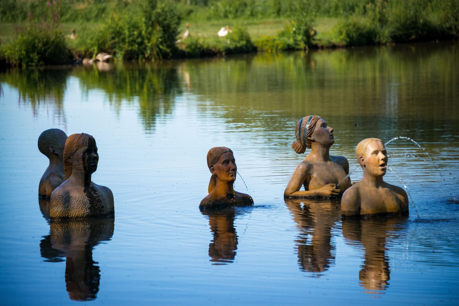 Nikon D800 sample photo. Pond, mill lake, human photography