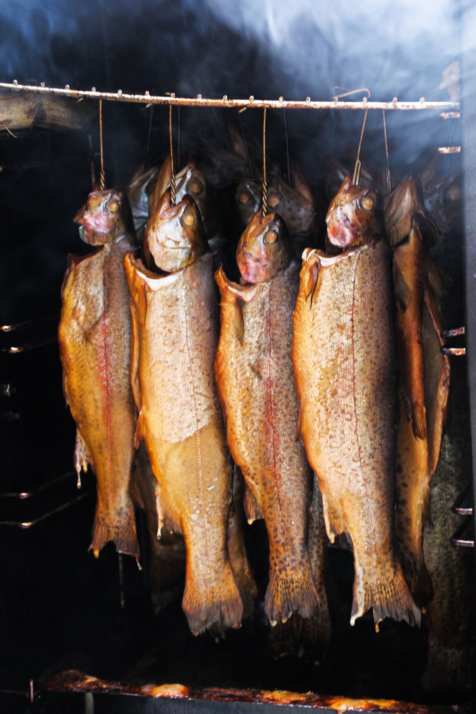 Canon EOS 60D sample photo. Fish, smoked fish, smoked photography
