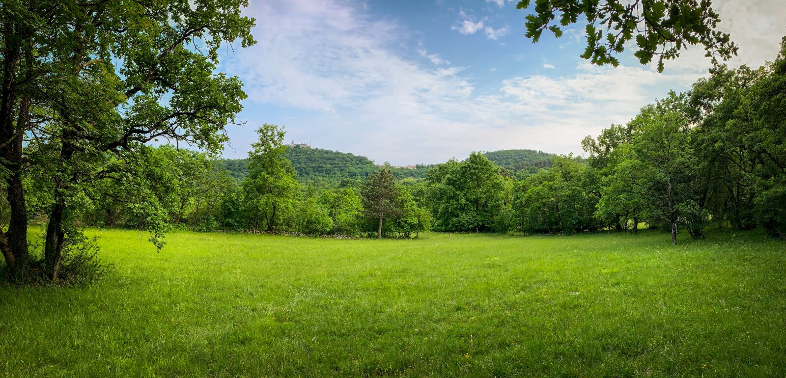 iPhone XR back camera 4.25mm f/1.8 sample photo. Sunny, clouds, panoramic photography