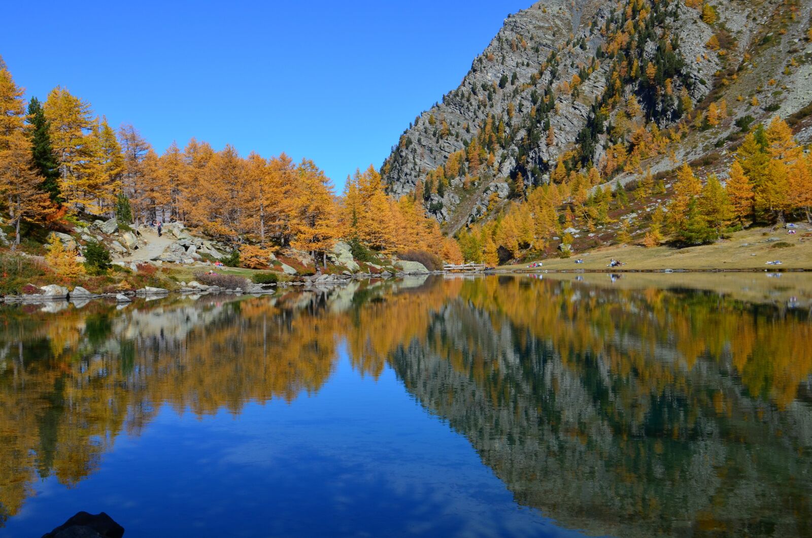 Nikon D5100 sample photo. Fogliage, lake, sky photography