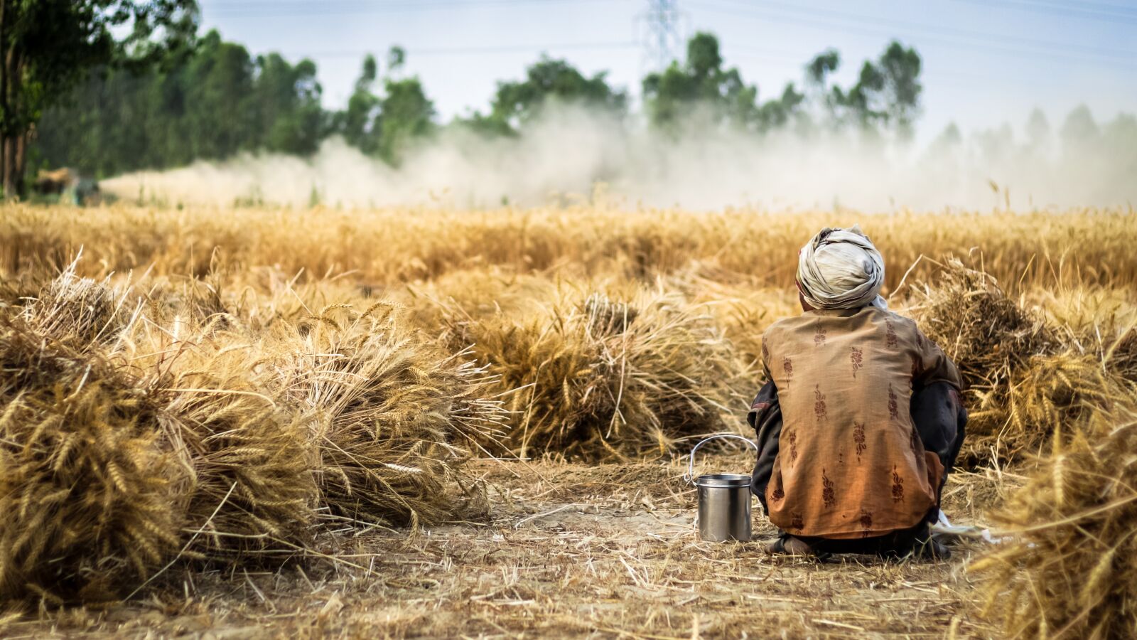 Canon EOS 7D Mark II sample photo. Farmer, wheat, crop photography