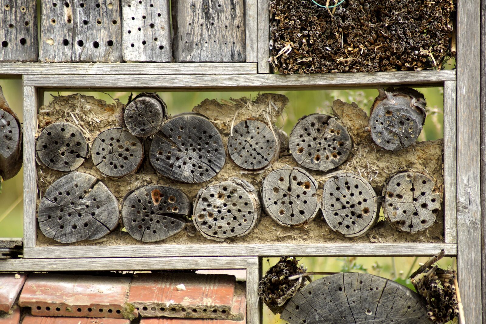 Sony SLT-A58 sample photo. Insect hotel, insect house photography