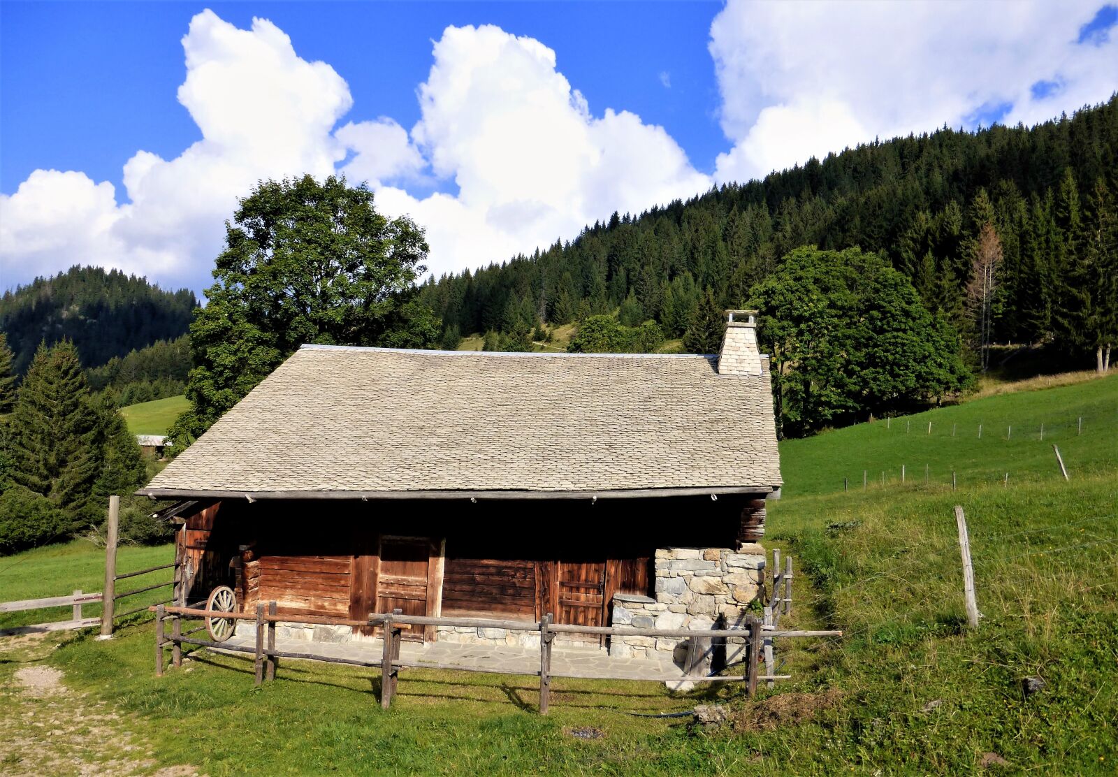 Panasonic Lumix DMC-ZS25 (Lumix DMC-TZ35) sample photo. Nature, france, alps photography