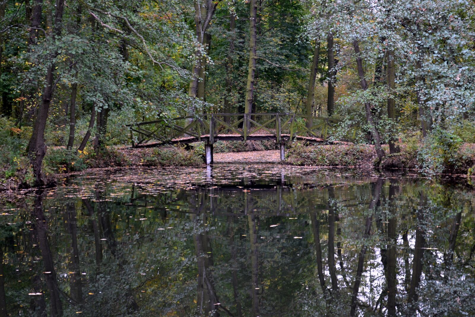 Nikon D3100 sample photo. Bridge, water, landscape photography