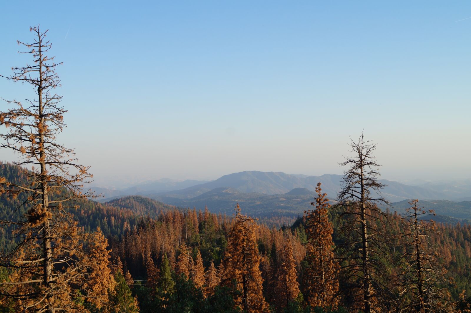 Sony DT 18-55mm F3.5-5.6 SAM II sample photo. Kings canyon, california, national photography