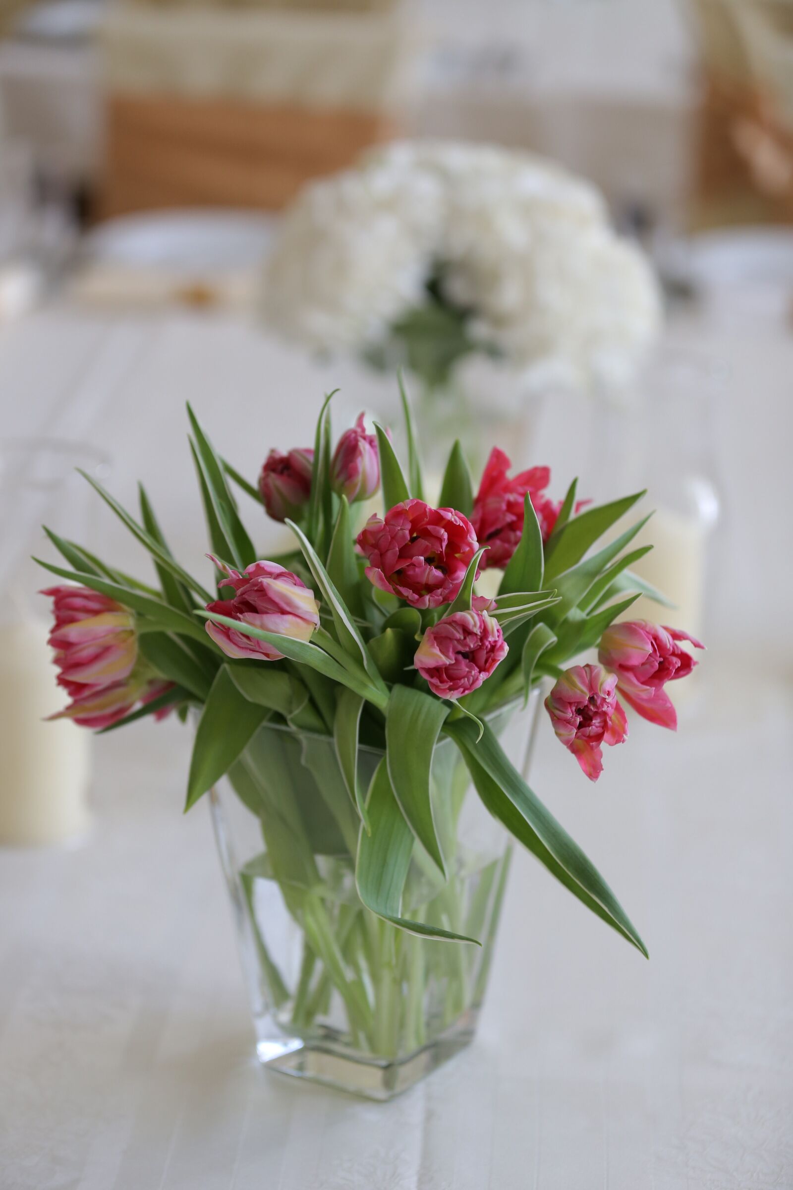 Canon EOS 6D sample photo. Vase, pink, tulips, tableware photography