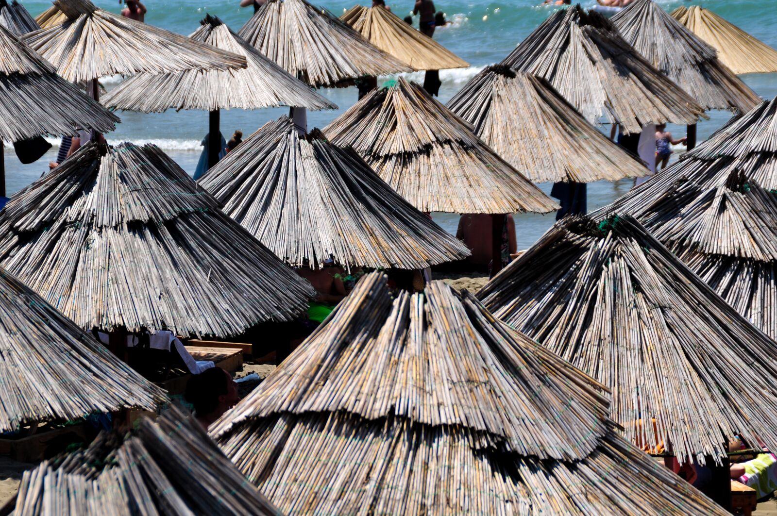 Nikon D90 sample photo. Parasols, straw umbrellas, shade photography