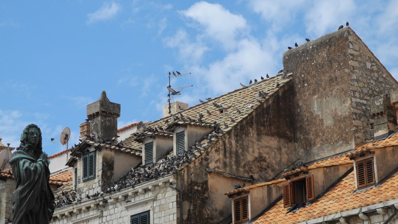 Nikon Coolpix P7000 sample photo. Roof, dove, gable photography