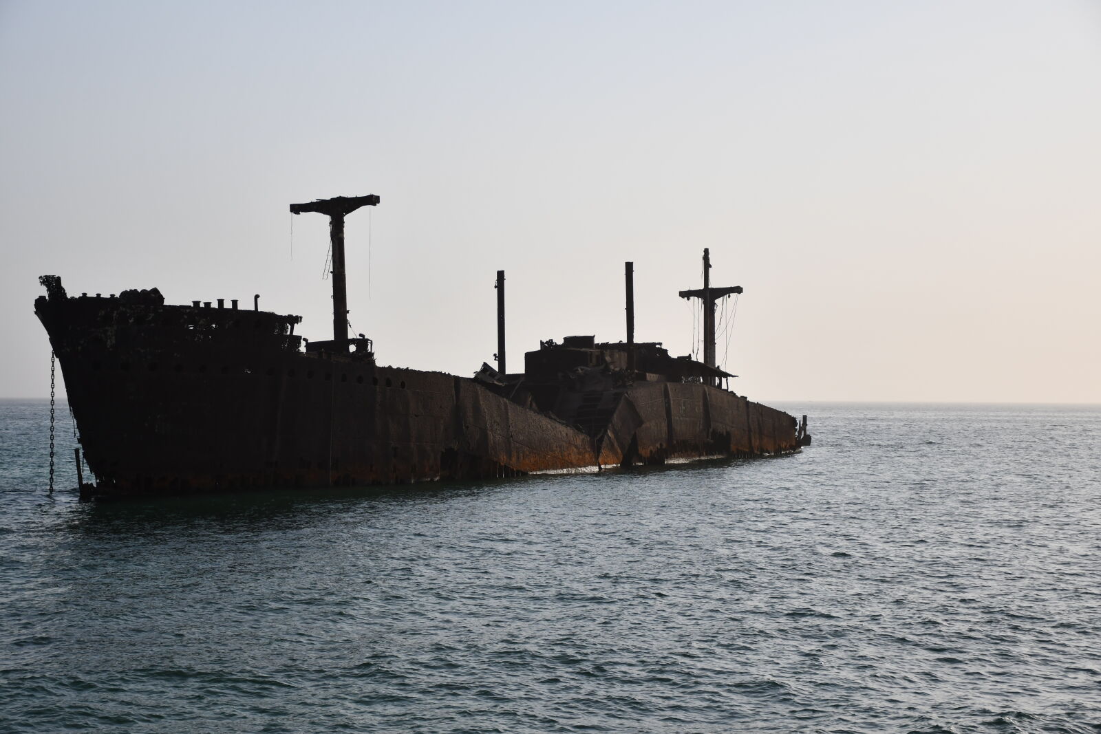 Nikon D7500 sample photo