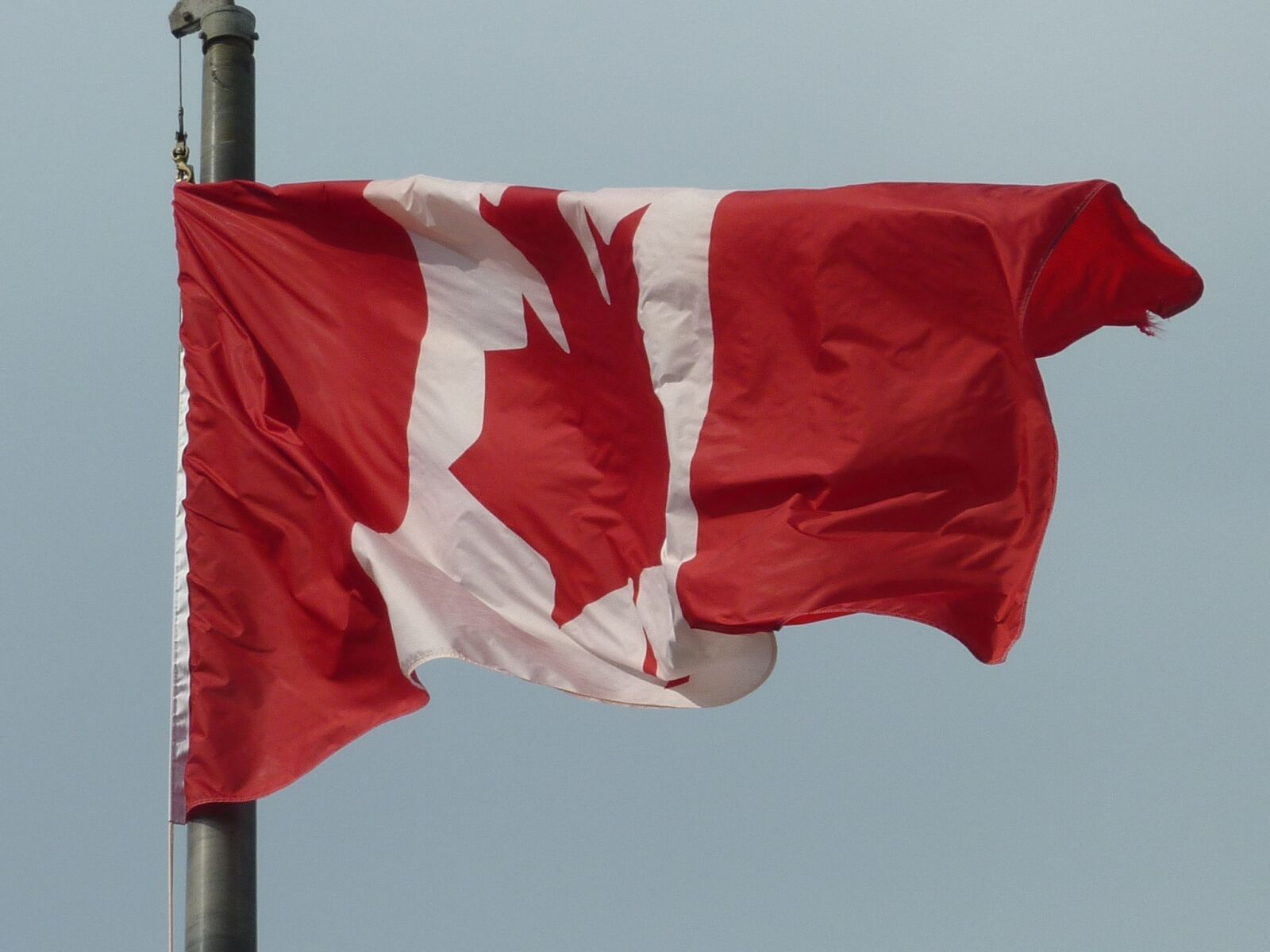 Panasonic DMC-TZ7 sample photo. Canada, flag, flag fluttering photography