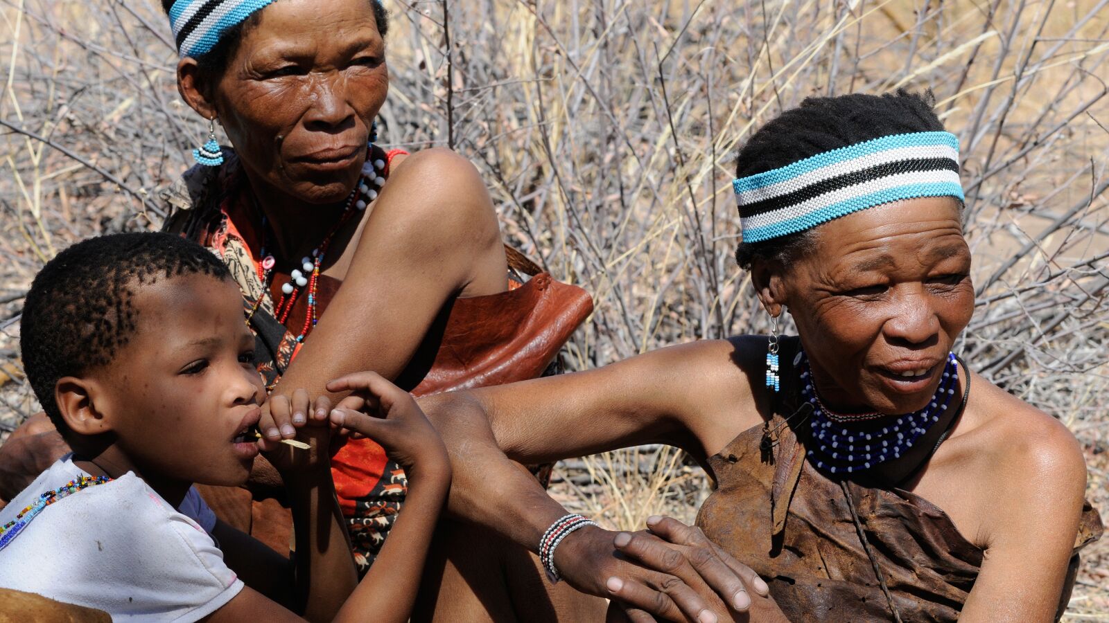Nikon D300 sample photo. Botswana, bushman, group photography