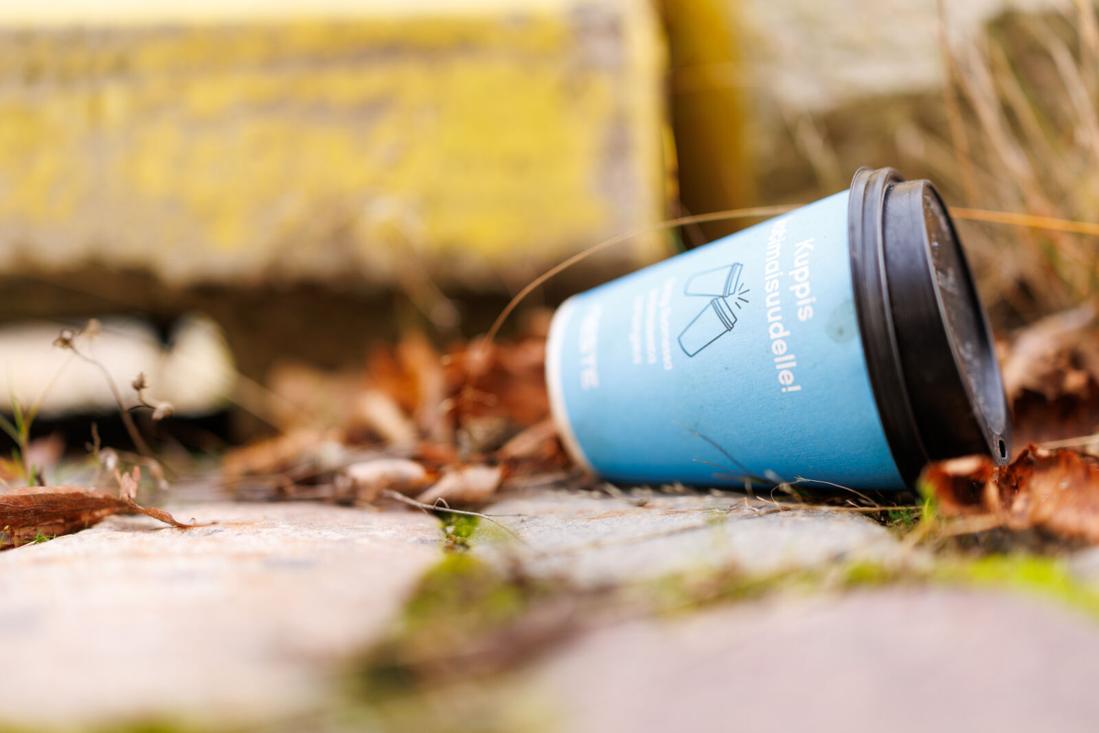 Canon EOS R5 Mark II sample photo. Domestic littering photography