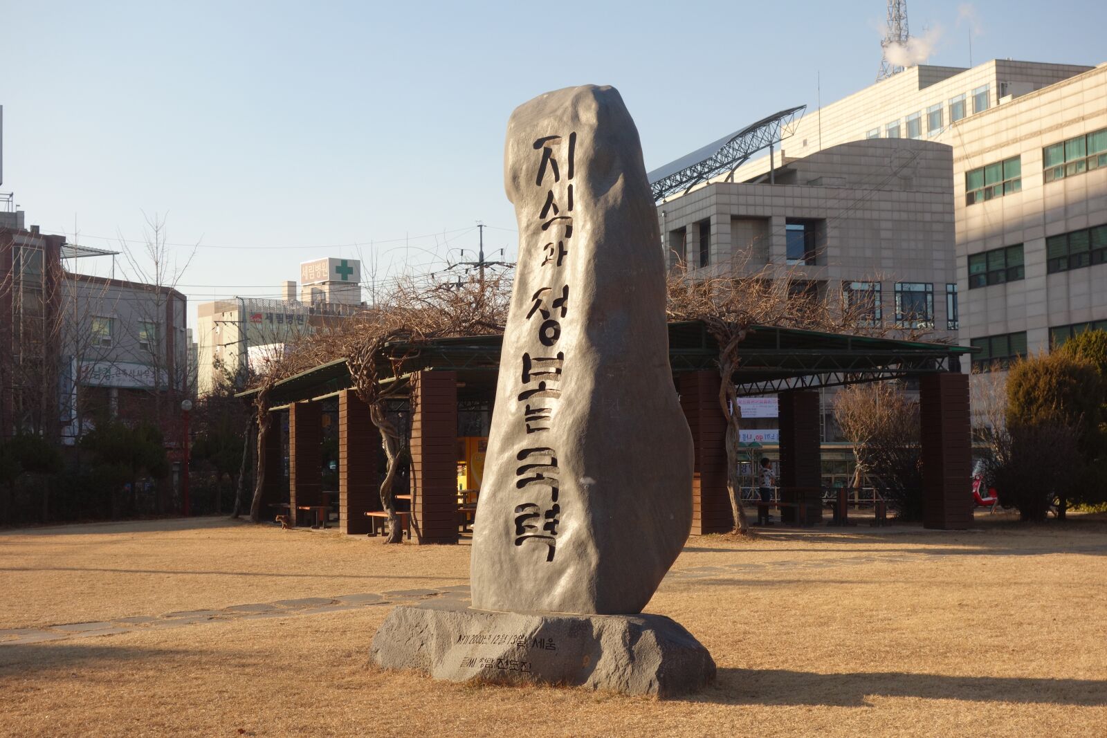 Sony Cyber-shot DSC-RX100 sample photo. South korea, library, monument photography