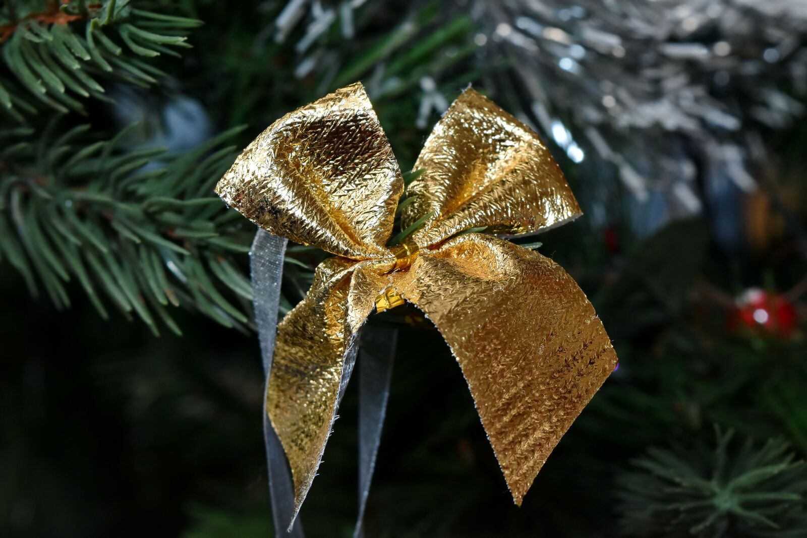 Nikon D5500 sample photo. Christmas tree, golden glow photography