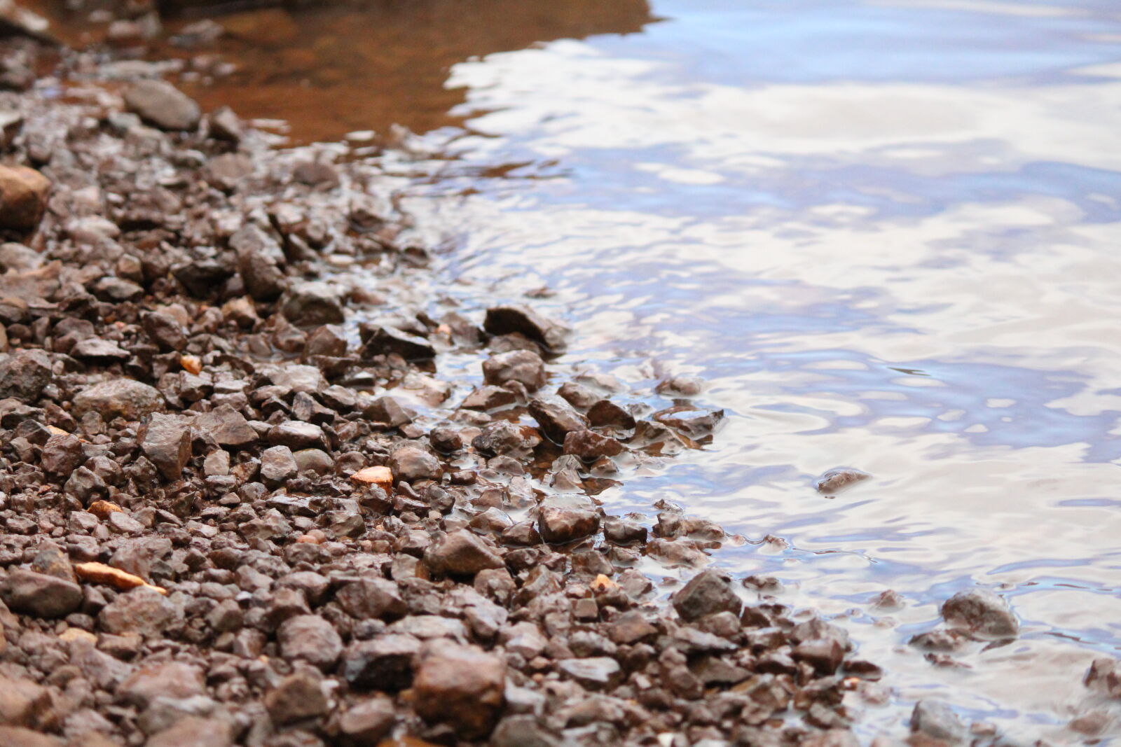 Canon EF-S 55-250mm F4-5.6 IS II sample photo