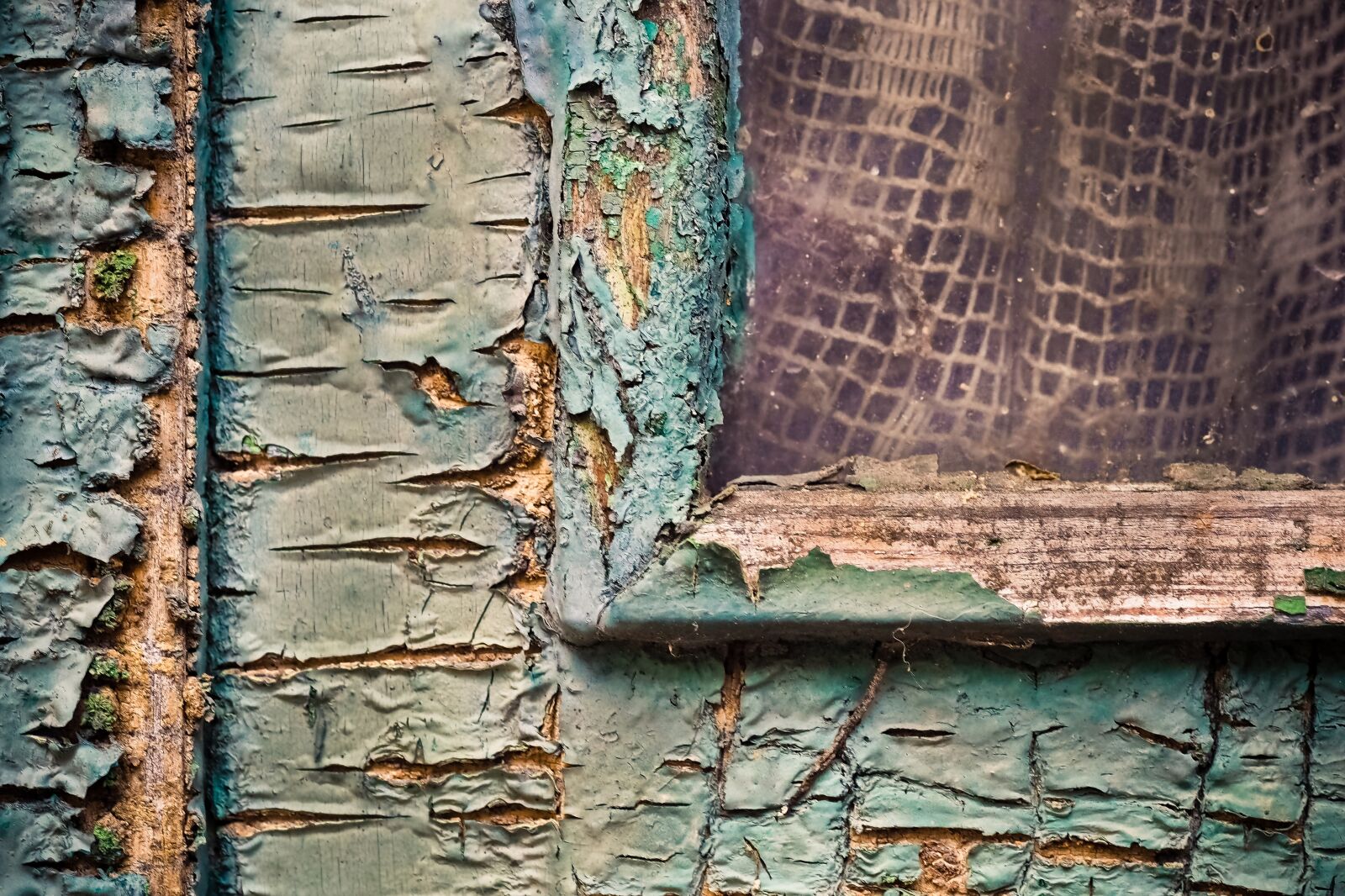 Olympus OM-D E-M10 sample photo. Door, flake, old photography