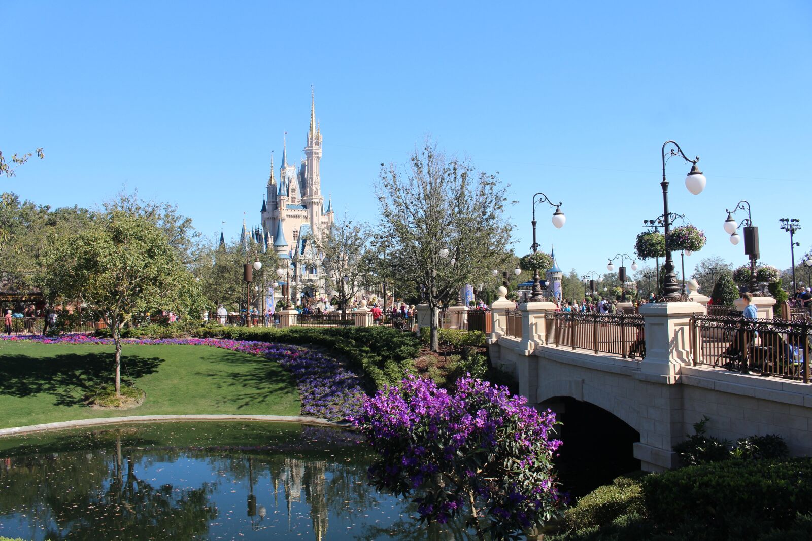 Canon EOS 700D (EOS Rebel T5i / EOS Kiss X7i) sample photo. Disney world, florida, orlando photography