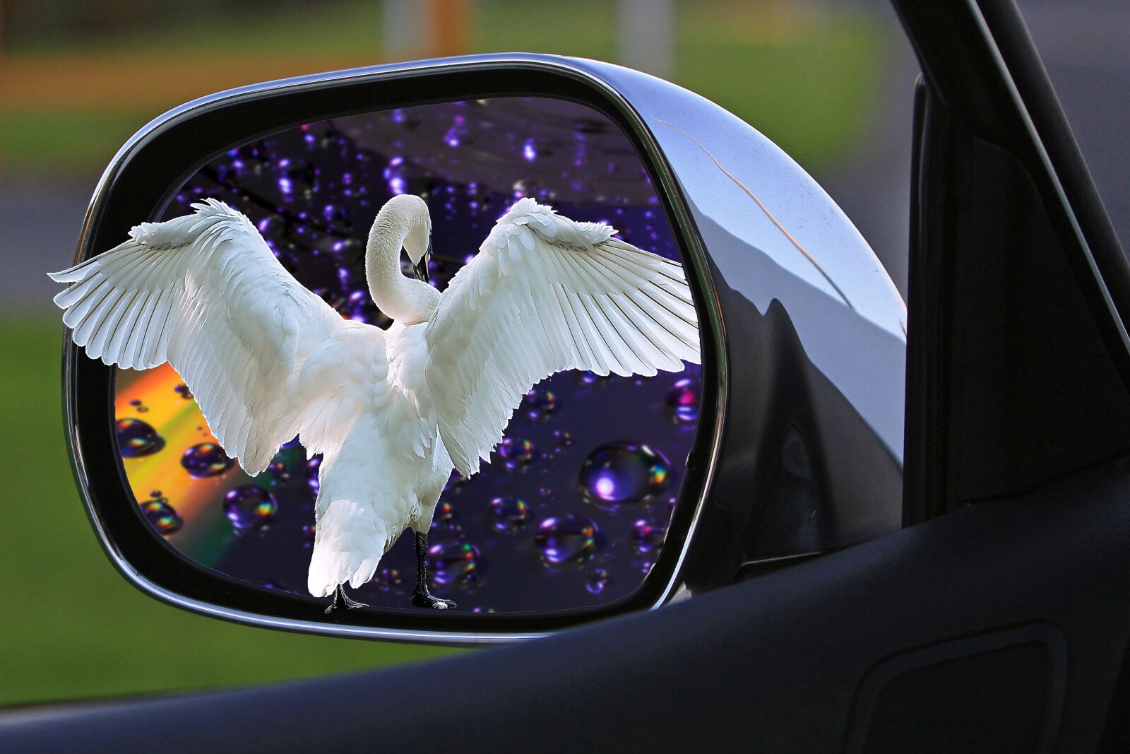 Canon EOS 5D Mark II sample photo. Assembly, mirror, car mirror photography