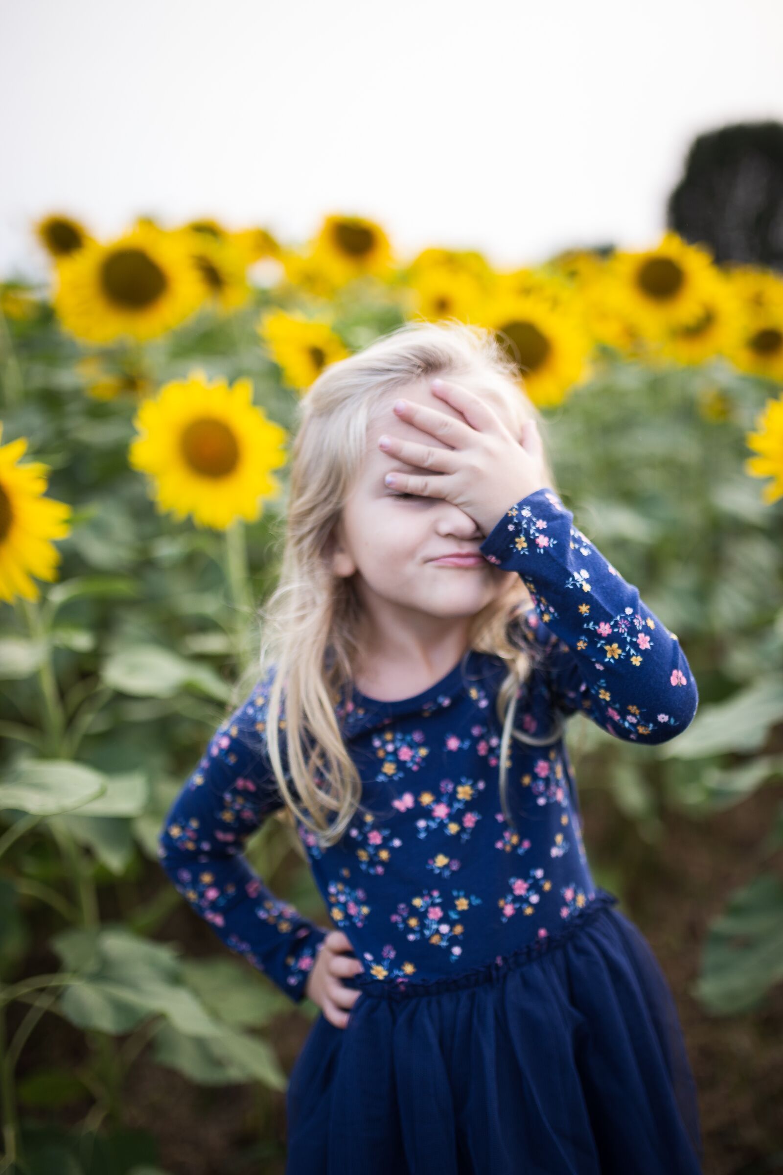 Canon EOS 6D sample photo. Little girl, sunflower field photography