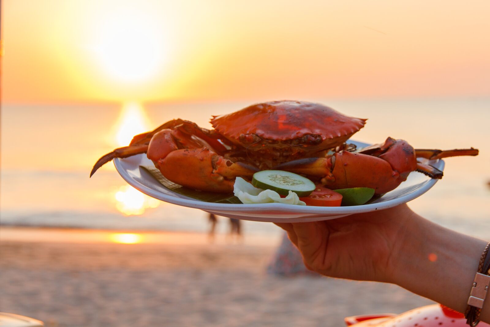 Canon EOS 7D sample photo. Sea, crab, animal photography
