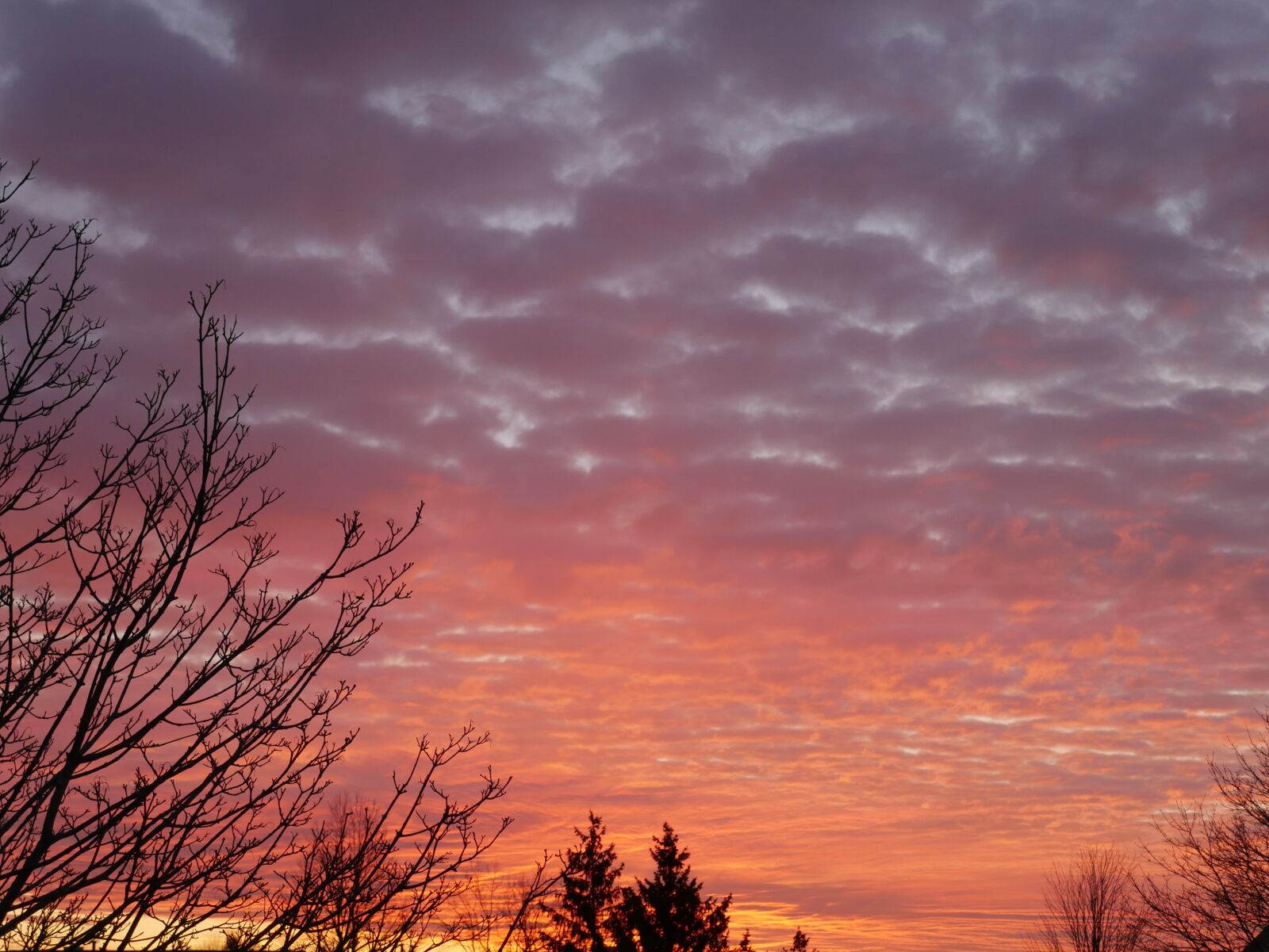 Panasonic Lumix DMC-G7 sample photo. Red, sky, dusk photography