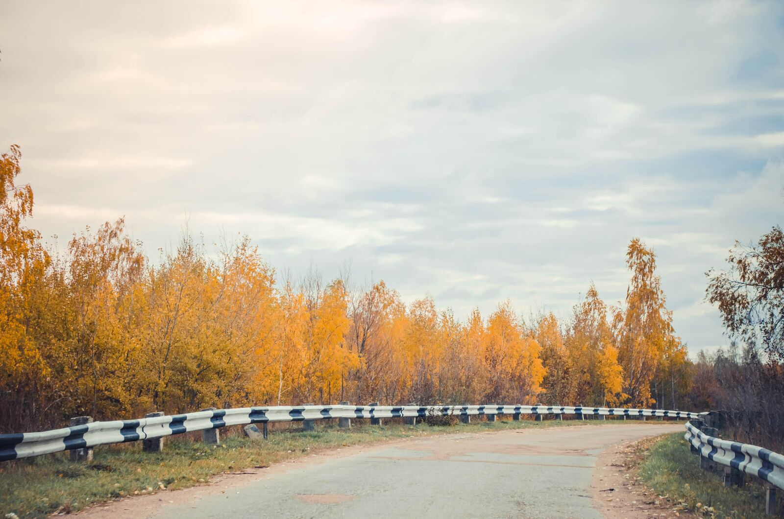 Nikon D5100 sample photo. Road, autumn, nature photography