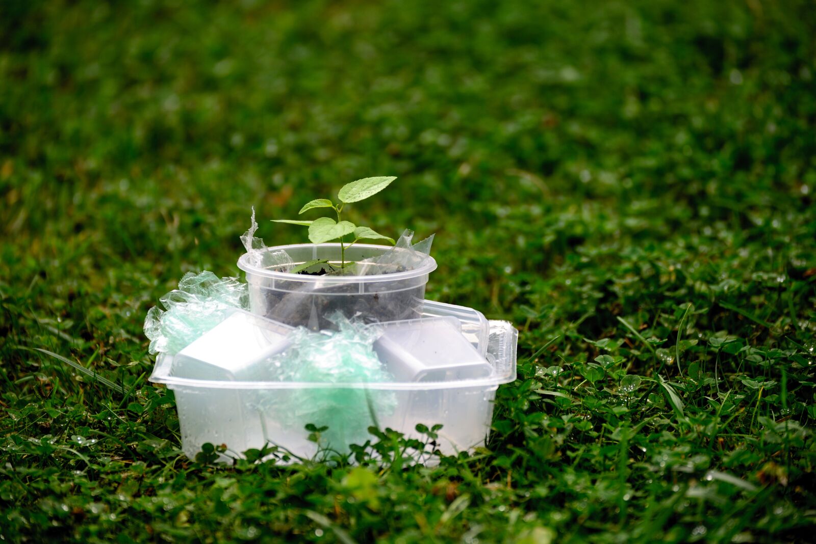 Nikon D610 sample photo. Plastic, plastic waste, environment photography