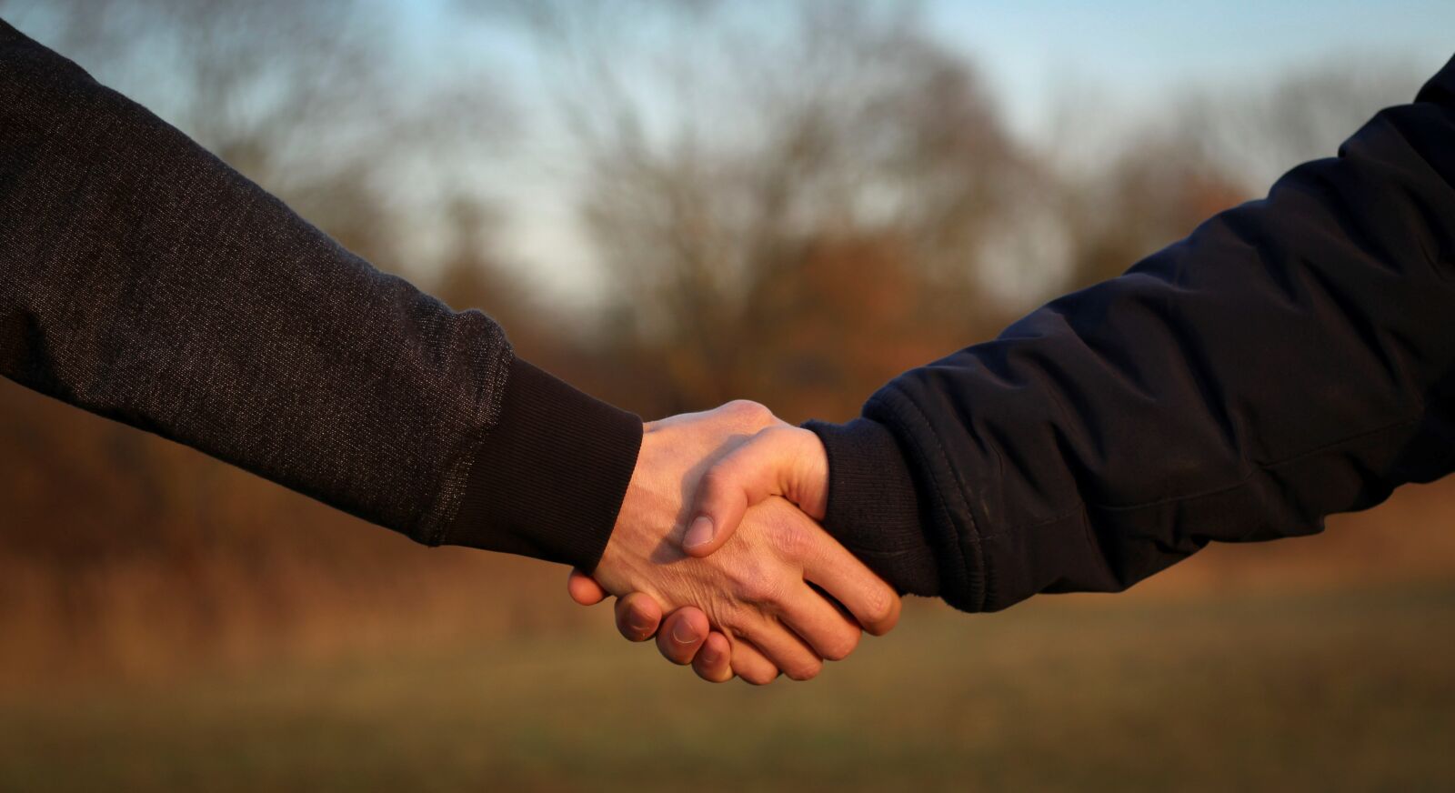 Canon EF 50mm F1.8 STM sample photo. Handshake, hand giving, hand photography