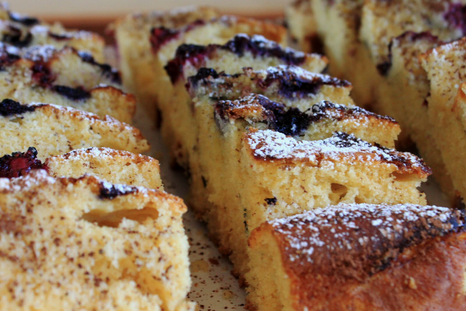 Canon EOS 500D (EOS Rebel T1i / EOS Kiss X3) sample photo. Cake, sweet, dessert photography