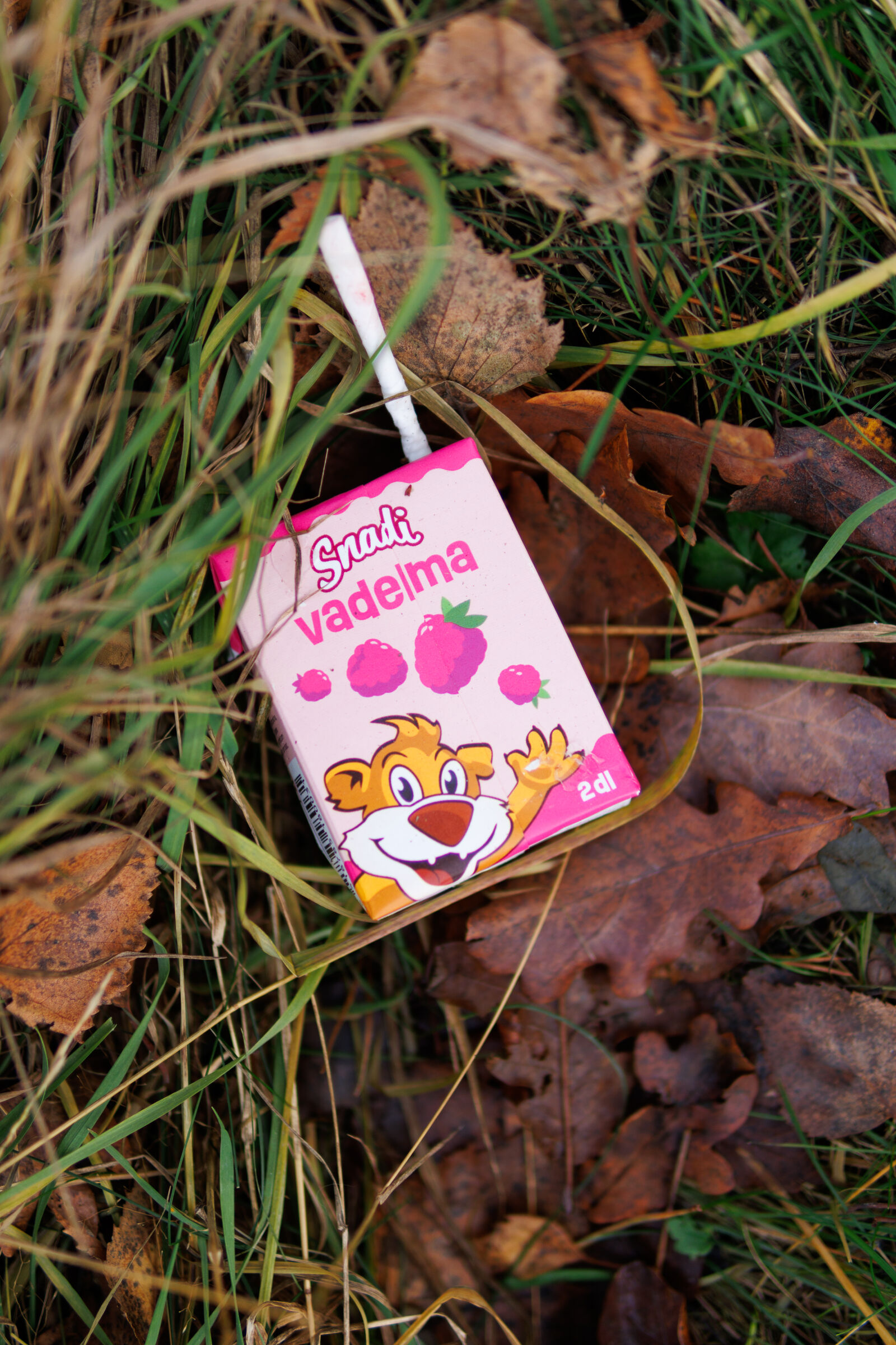 Sigma 30mm F1.4 DC DN | C sample photo. Shiny litter photography