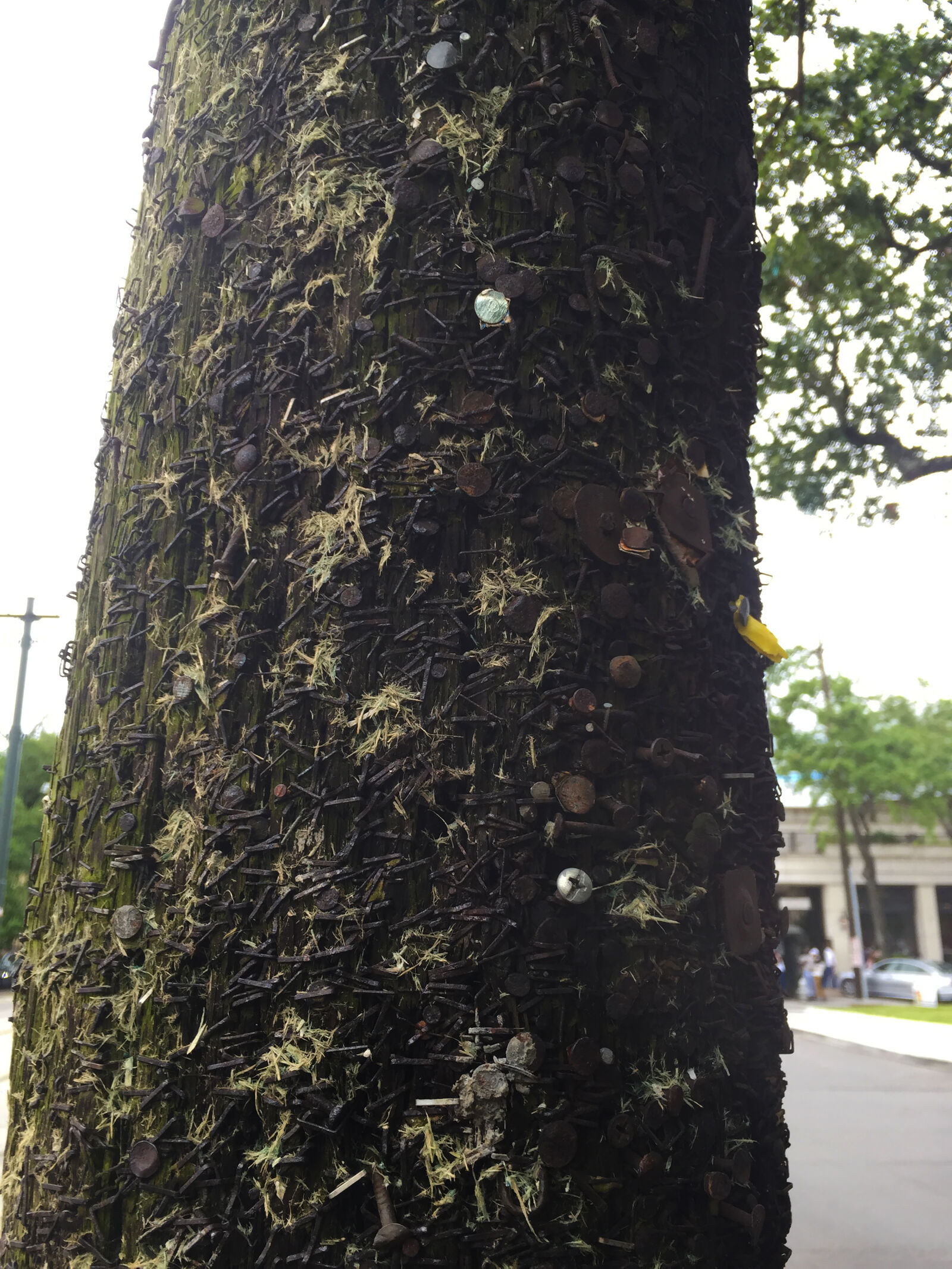 iPhone 6 back camera 4.15mm f/2.2 sample photo. New, orleans, light, pole photography