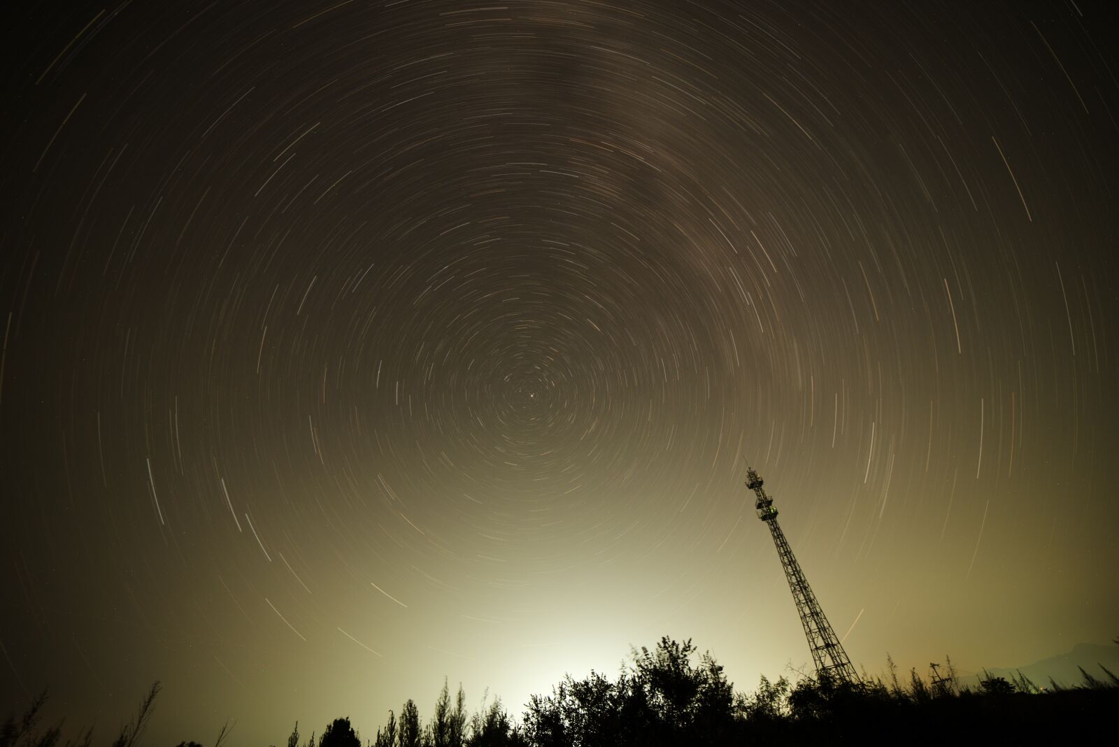 Nikon D750 sample photo. Star, night, shy photography