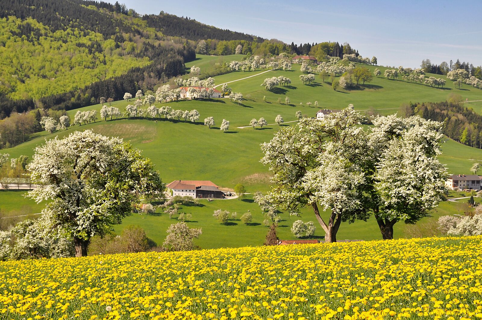 Nikon D90 sample photo. Nature, landscape, spring photography