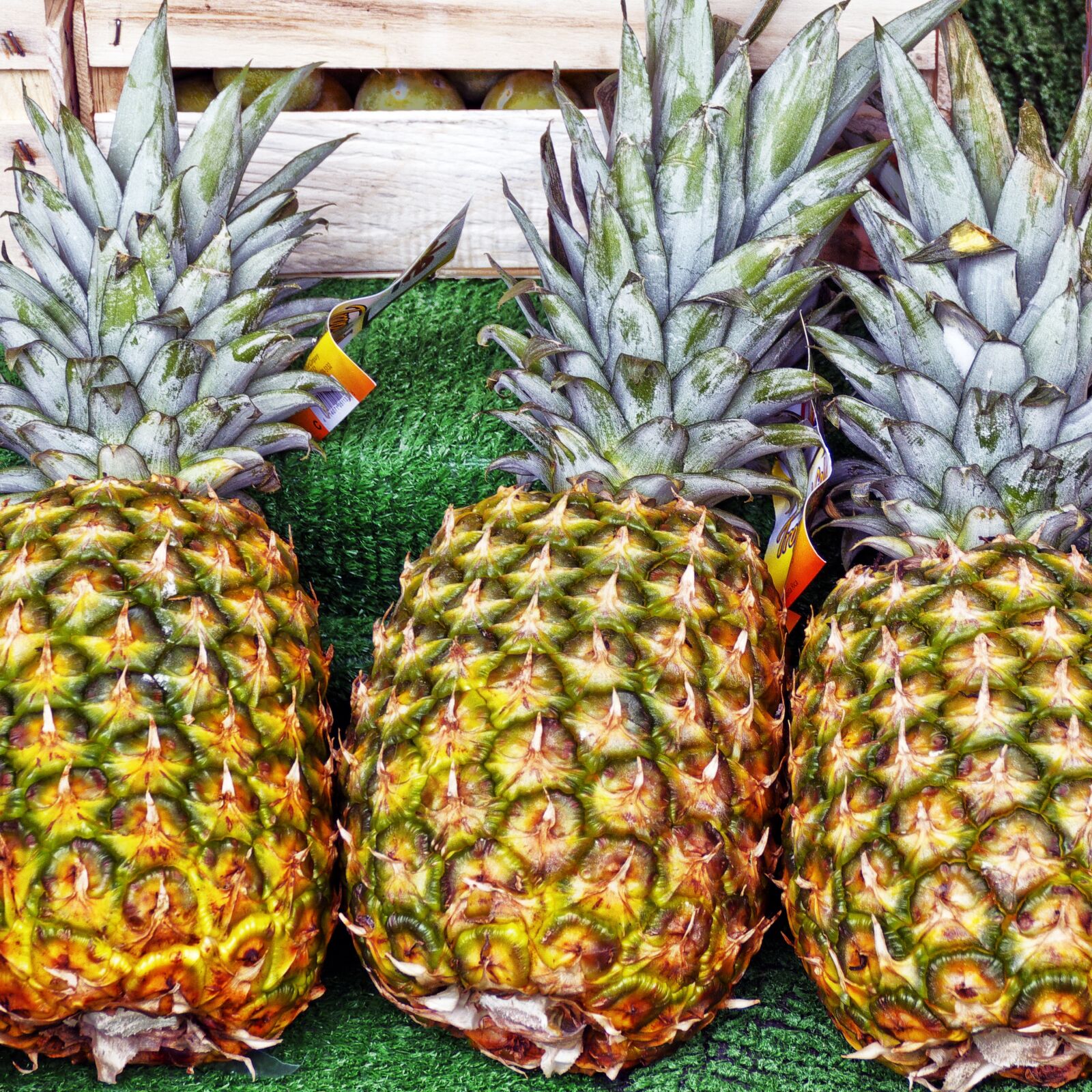 Panasonic Lumix DMC-FZ1000 sample photo. Pineapple, fruit, tropical fruit photography