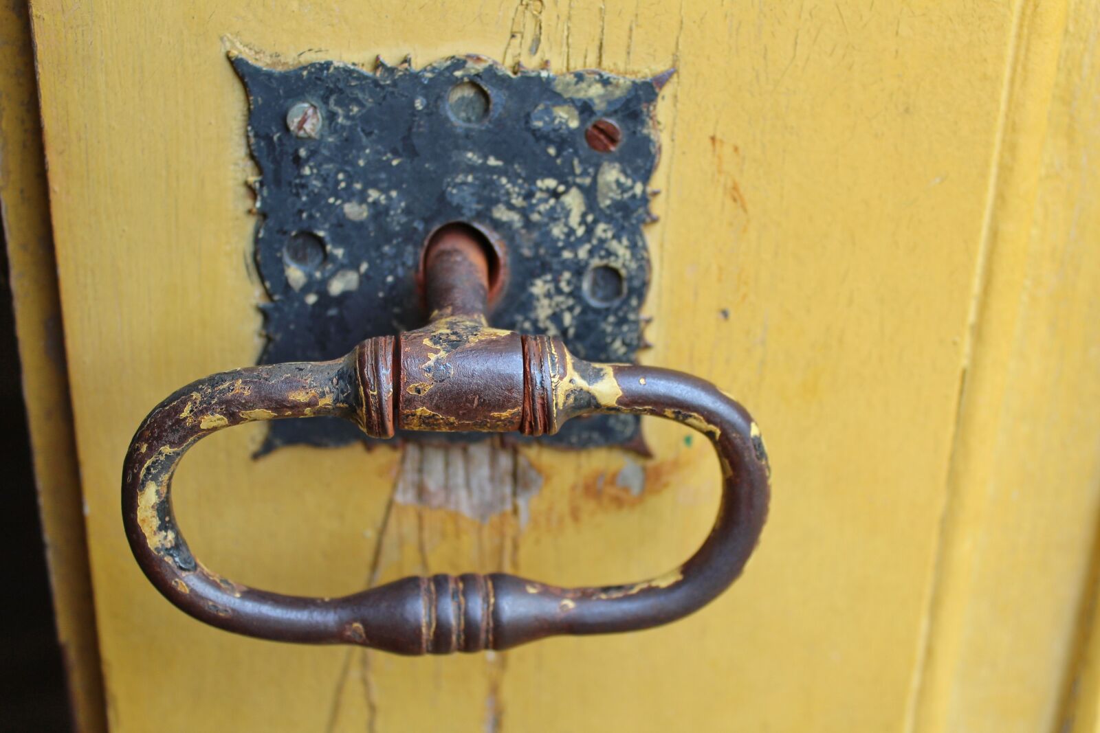 Canon EOS 1300D (EOS Rebel T6 / EOS Kiss X80) sample photo. Door, door handle, metal photography