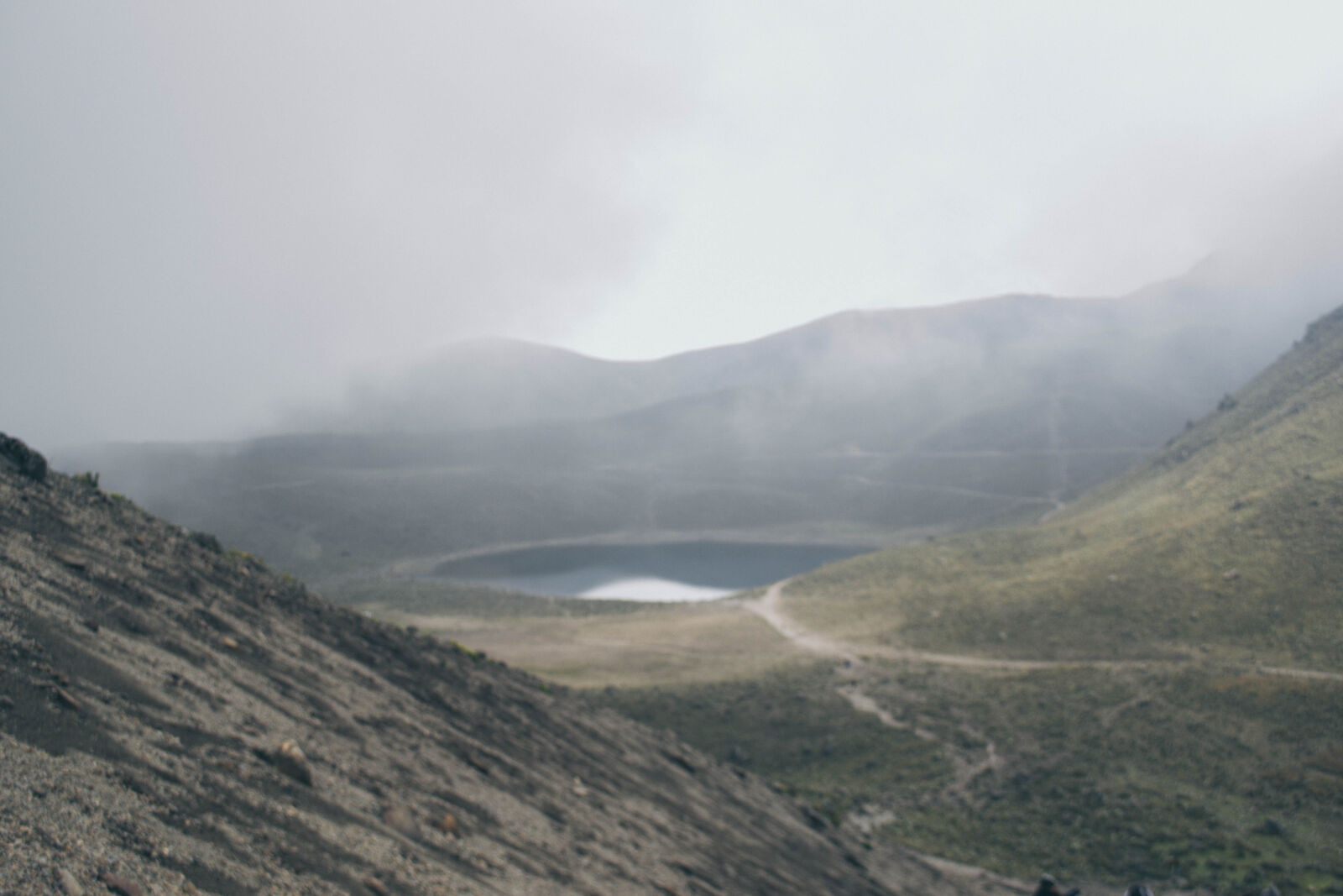 Nikon D3100 sample photo. Landscape, nature, nature, photography photography