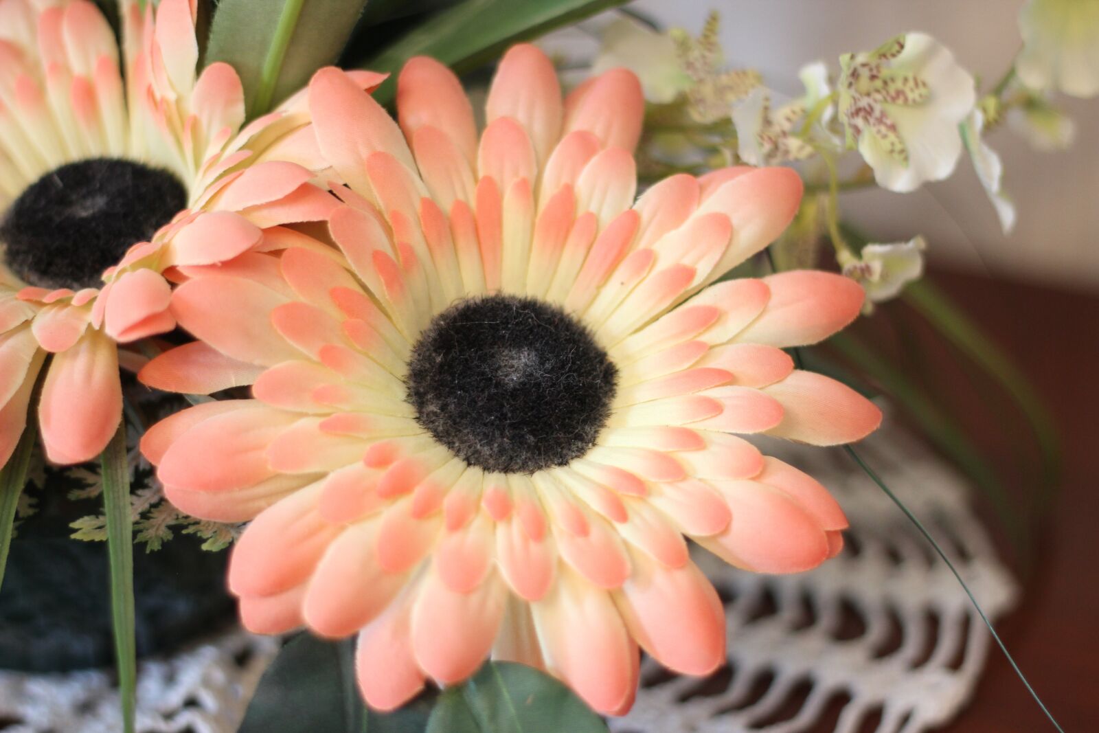 Canon EOS 600D (Rebel EOS T3i / EOS Kiss X5) + Canon EF 50mm F1.8 STM sample photo. Flowers, garden, flower photography