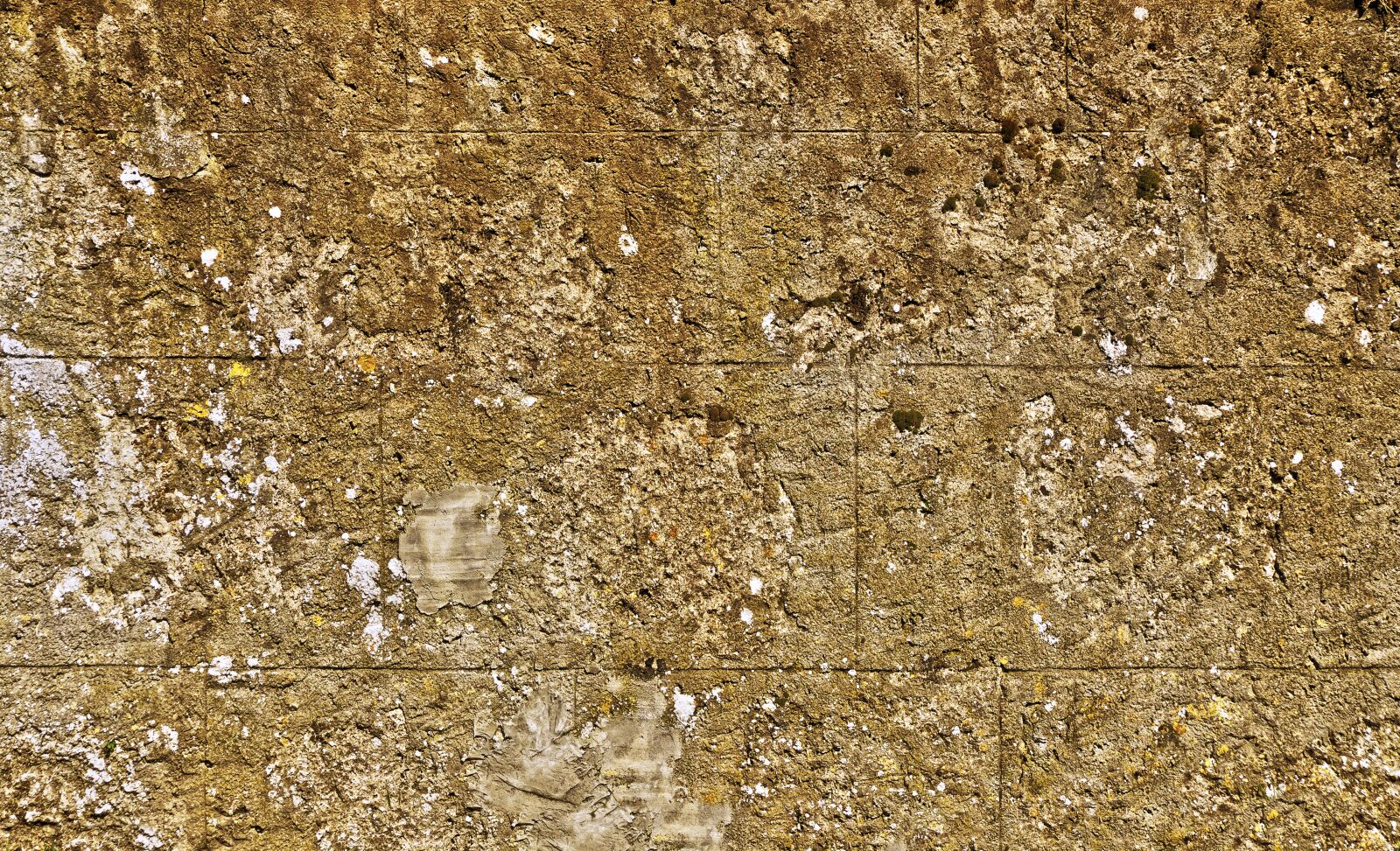 Panasonic Lumix DMC-FZ1000 sample photo. Wall, concrete blocks, plaster photography