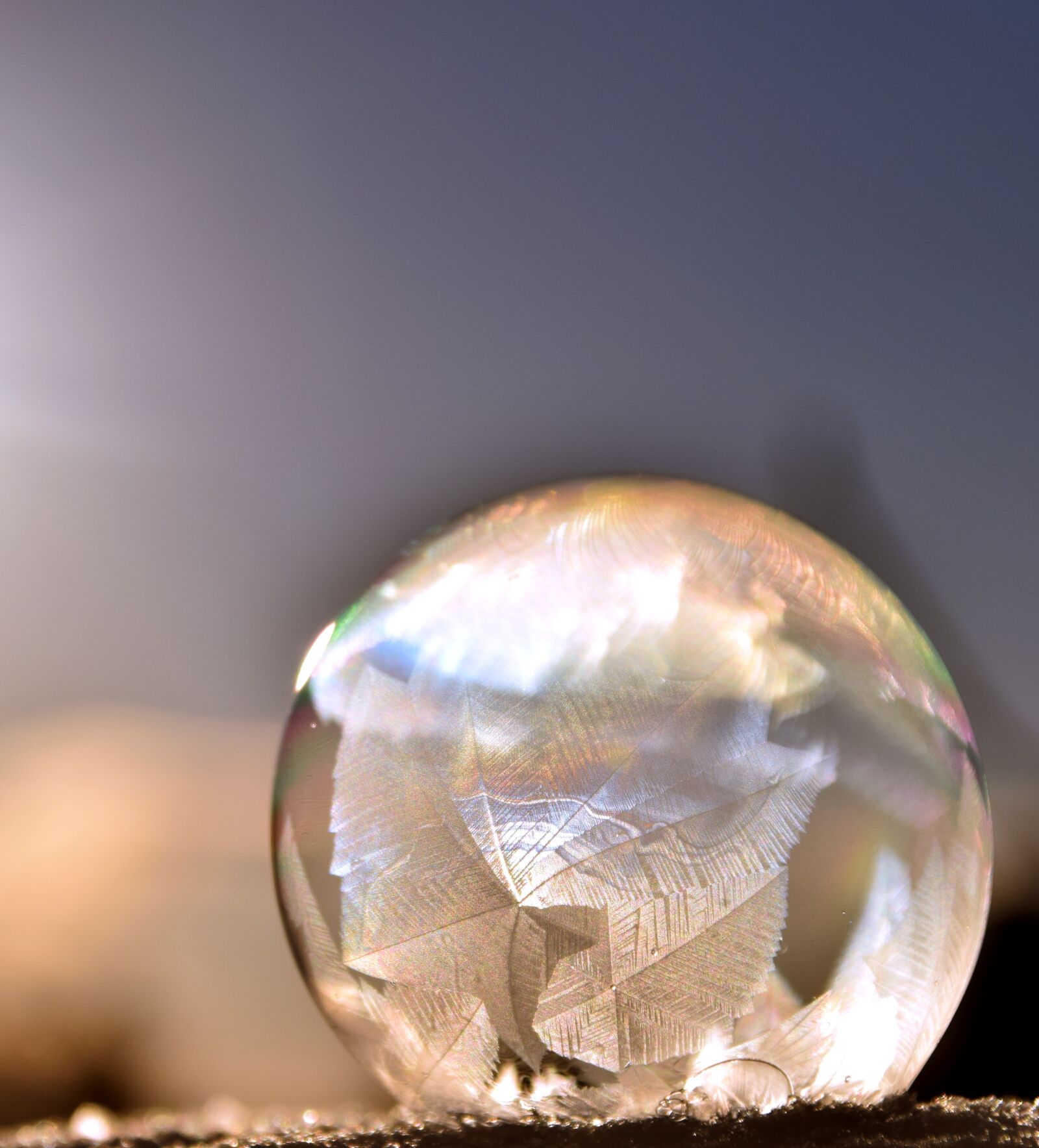 Nikon D3300 sample photo. Bubble, soap bubble, iridescent photography