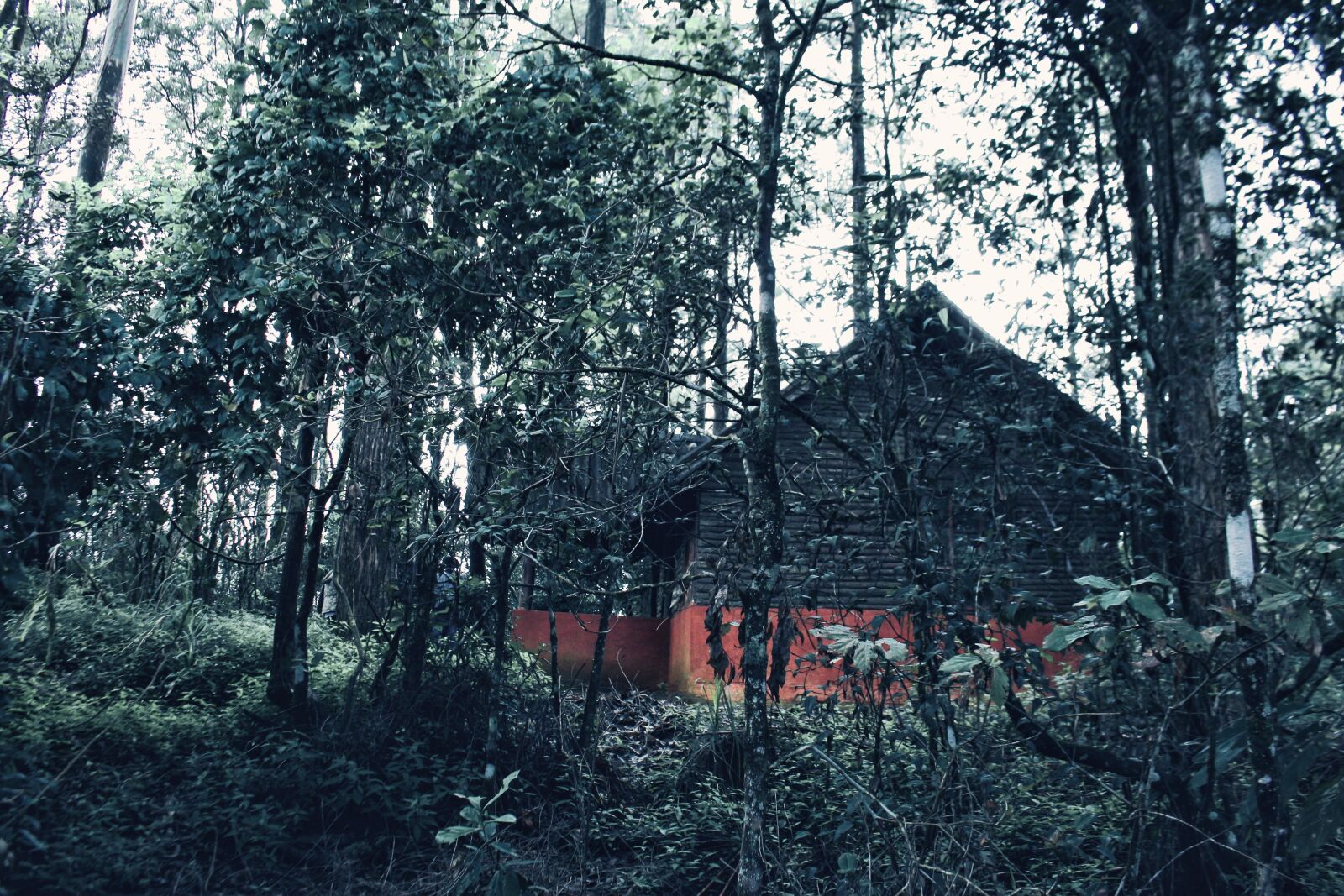 Canon EOS 100D (EOS Rebel SL1 / EOS Kiss X7) sample photo. Black, forest, camper, camping photography